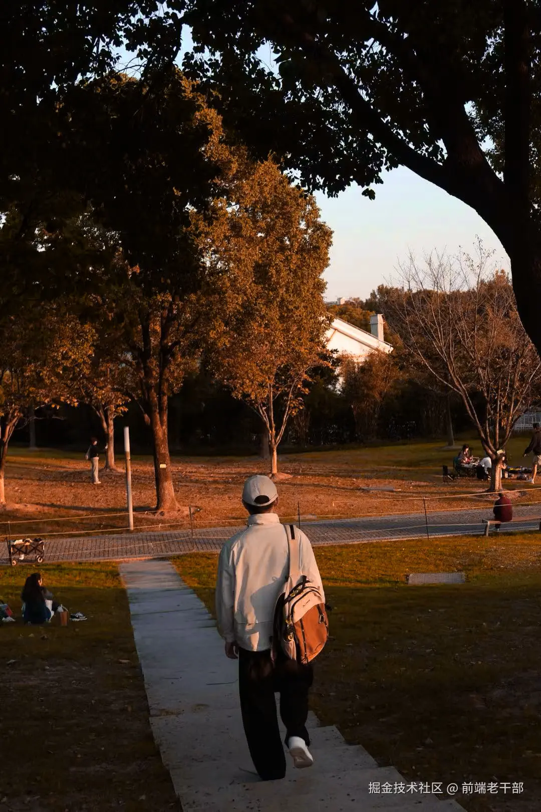 前端老干部于2025-11-17 09:16发布的图片