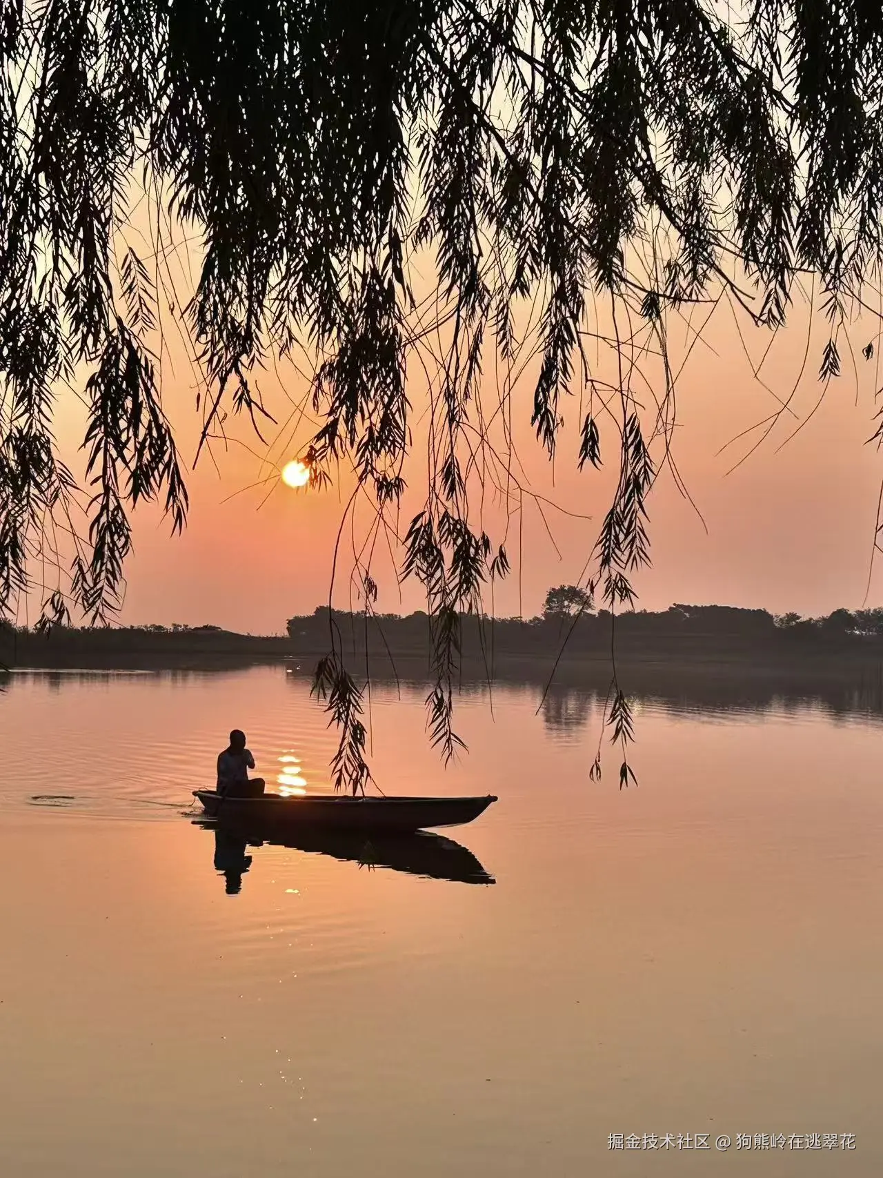 狗熊岭在逃翠花于2025-10-13 05:49发布的图片