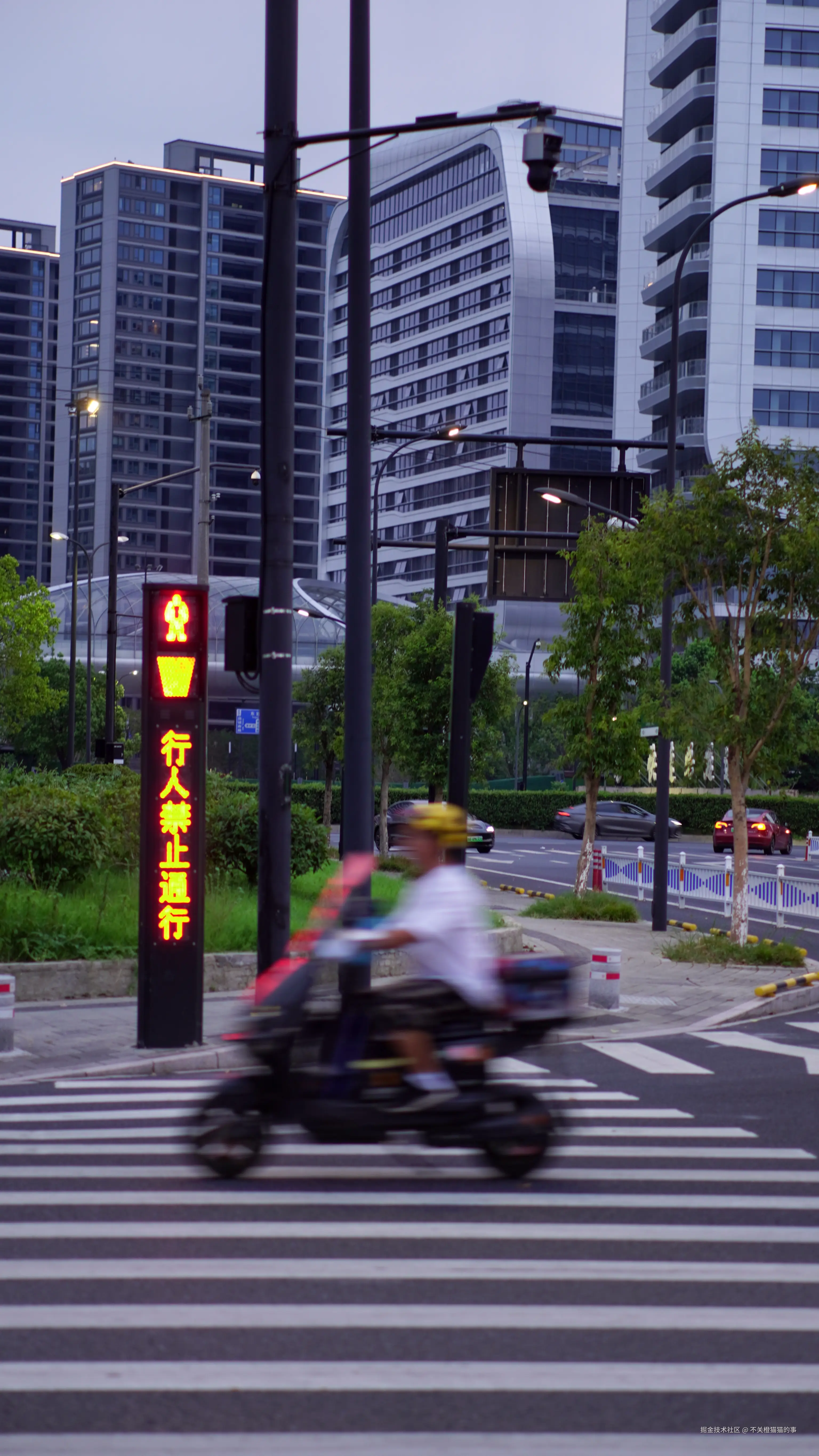 不关橙猫猫的事于2024-08-12 09:42发布的图片