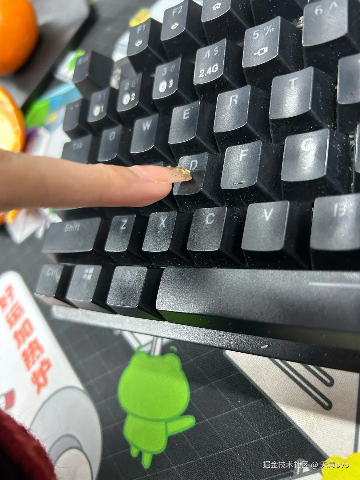 天意ovo于2026-03-01 13:53发布的图片