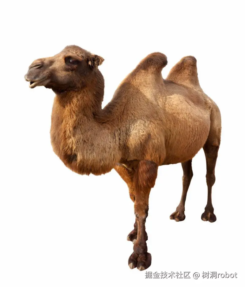 树洞robot于2025-02-28 00:56发布的图片