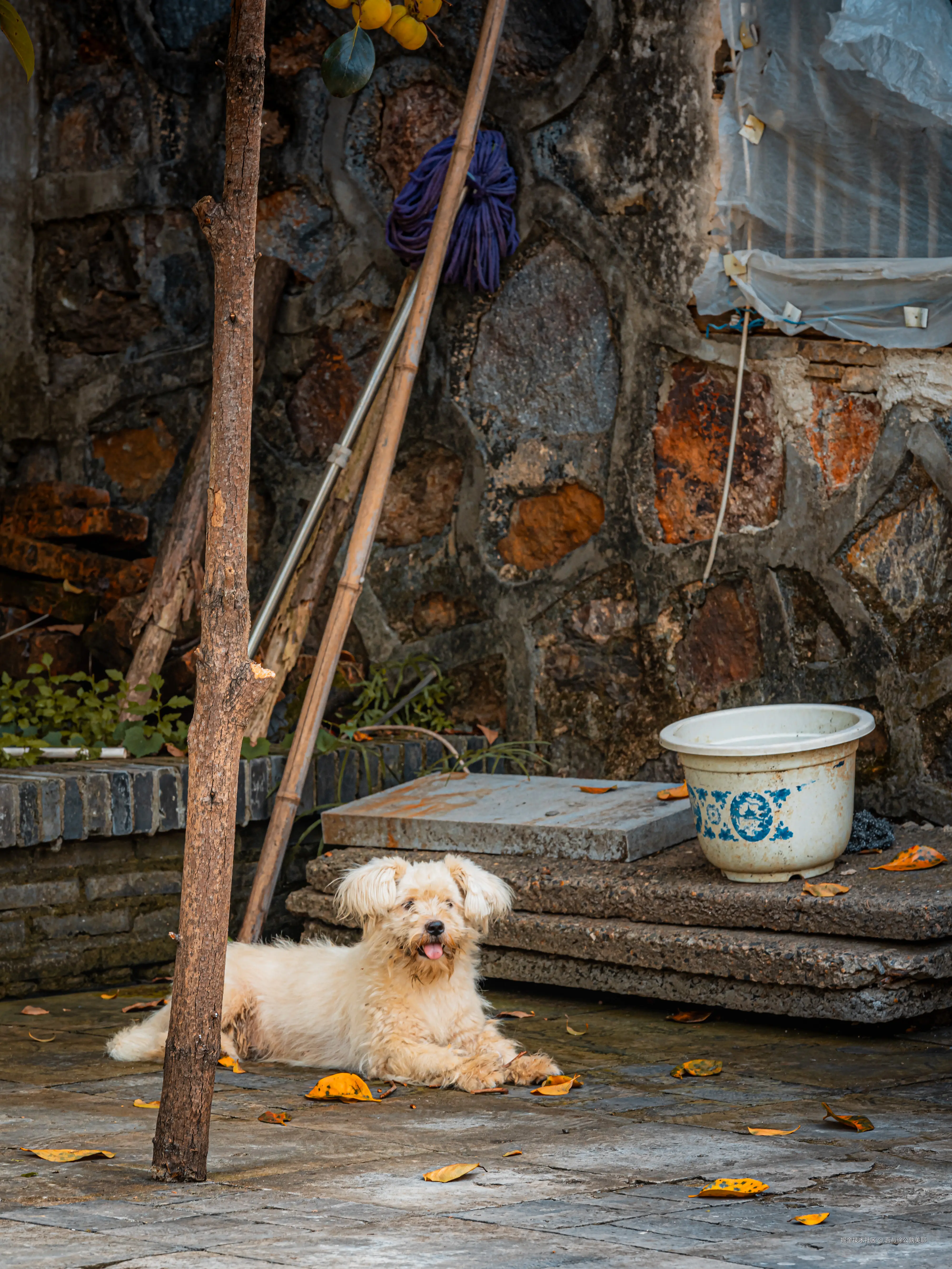 吾与徐公孰美耶于2024-09-06 15:01发布的图片