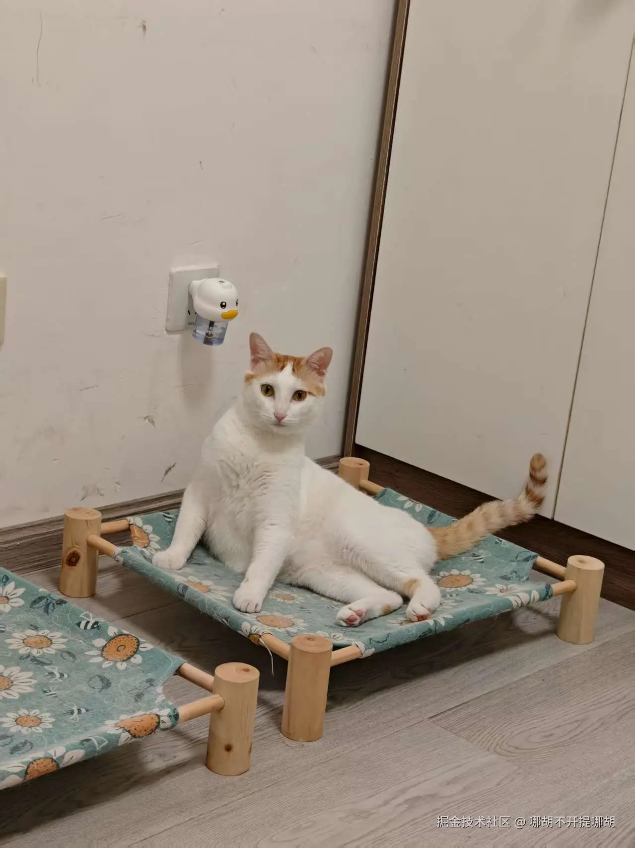 哪胡不开提哪胡于2025-09-01 11:13发布的图片