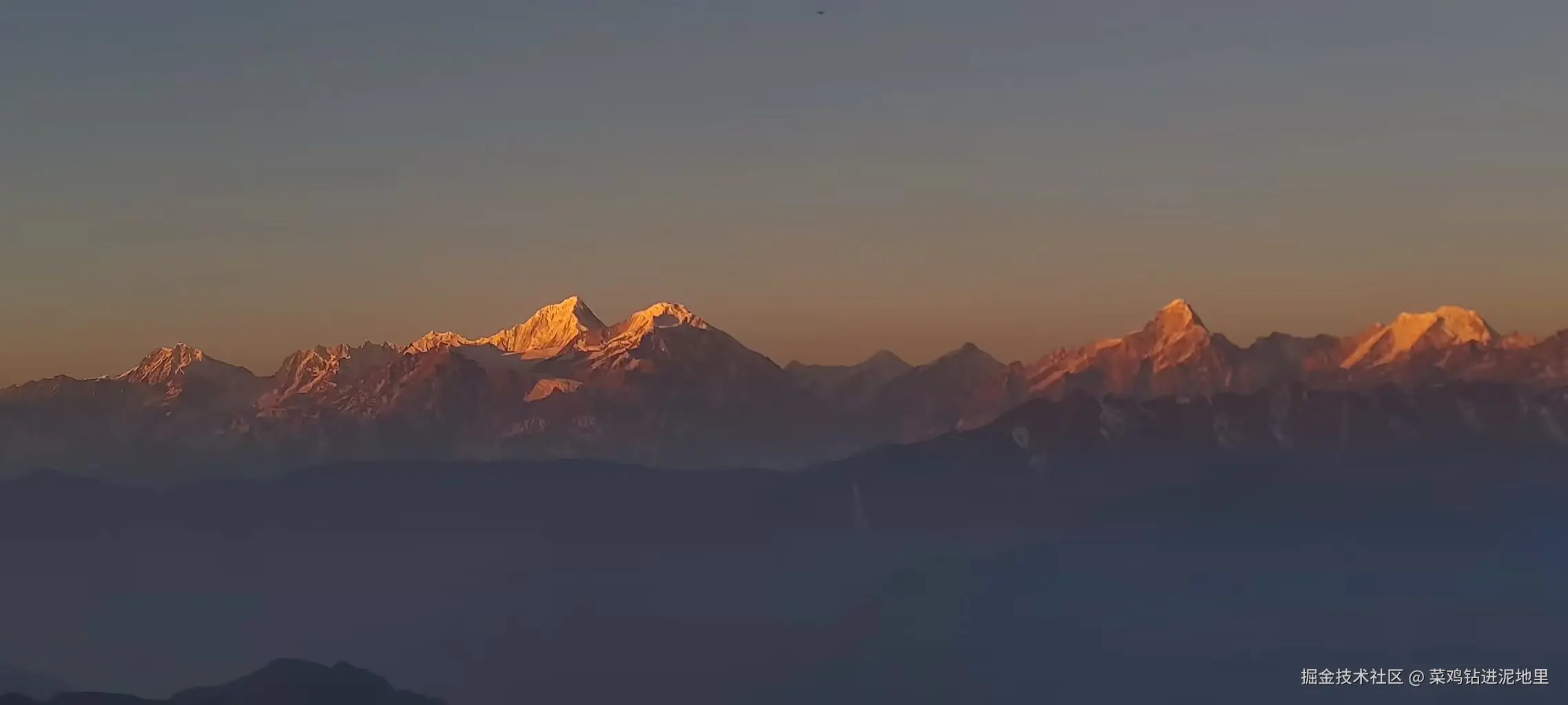 菜鸡钻进泥地里于2026-01-26 10:20发布的图片