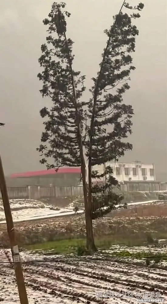 白手套于2026-02-28 20:50发布的图片