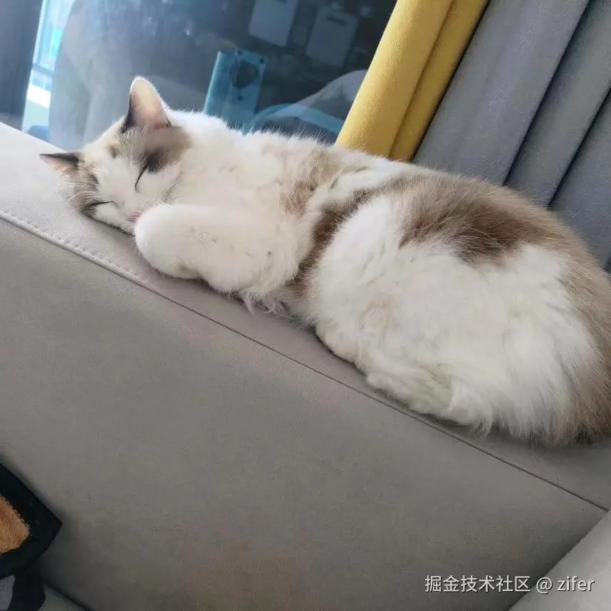 从零实现系列