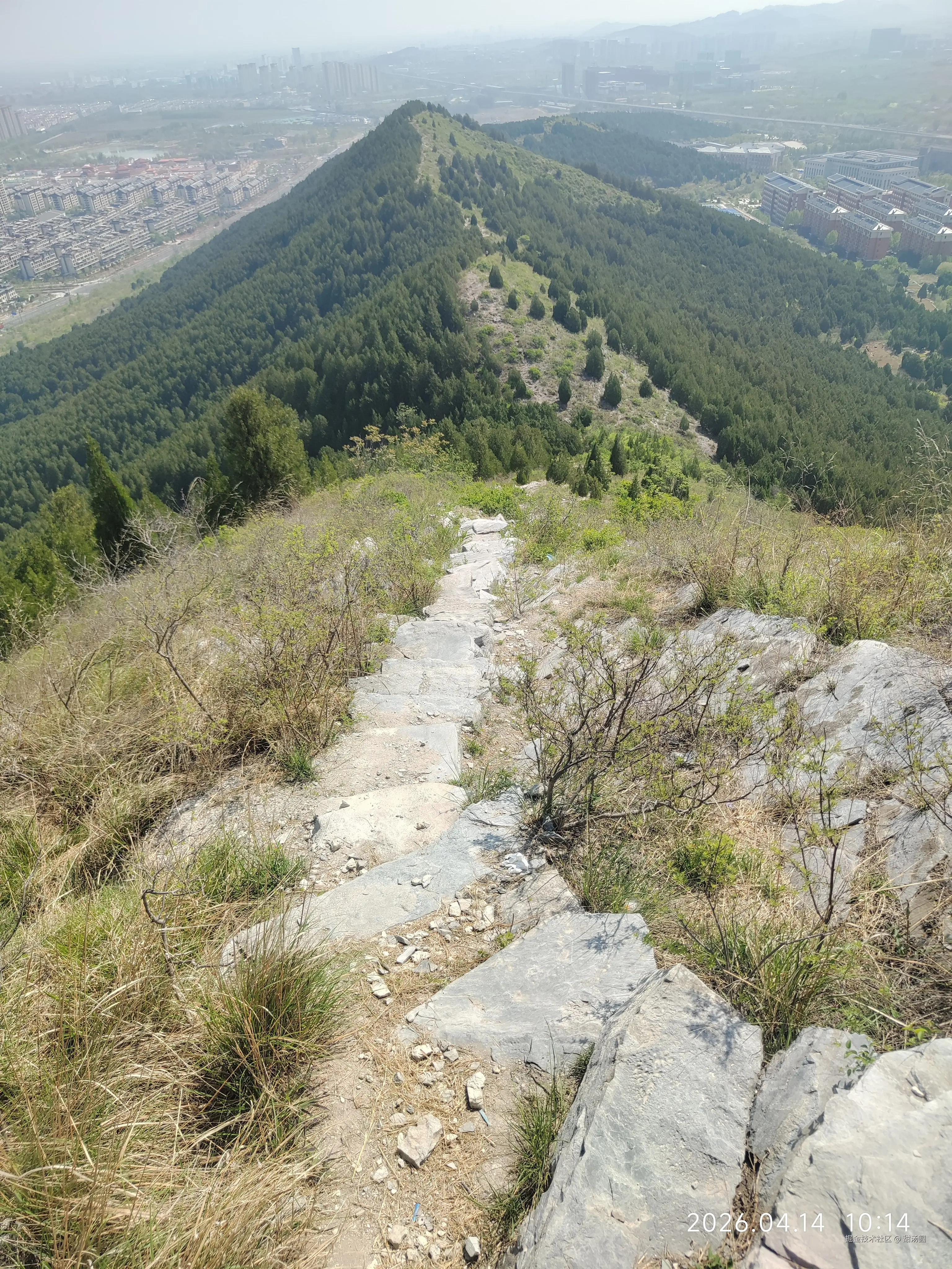 甜汤圆于2026-04-14 10:44发布的图片