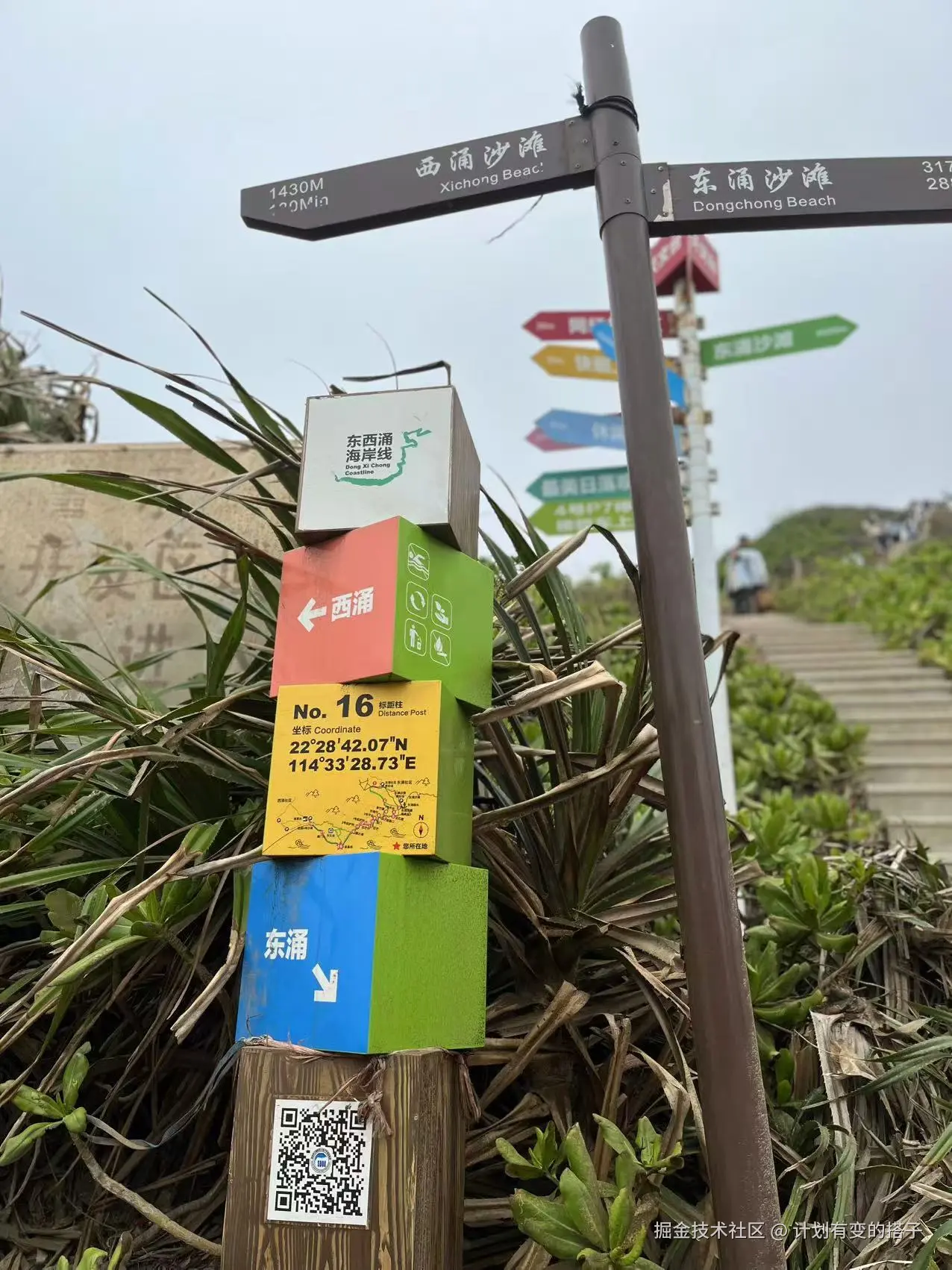 计划有变的搭子于2024-12-24 11:31发布的图片