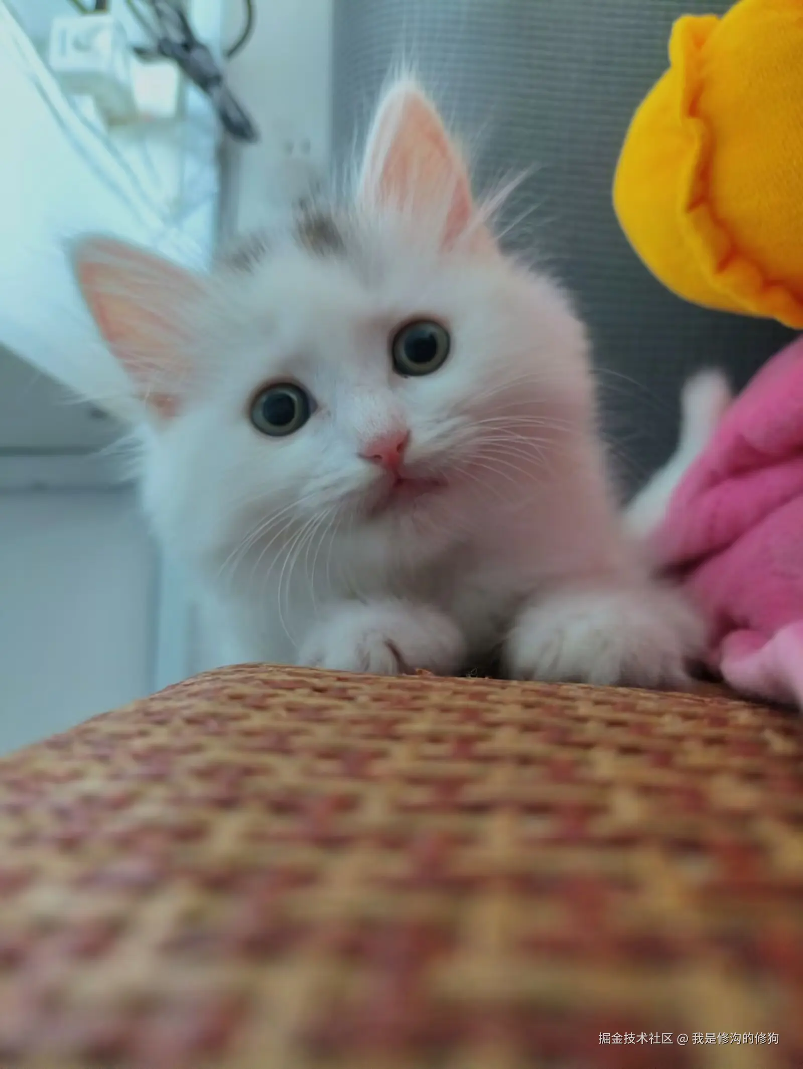 我是修沟的修狗于2025-06-19 11:05发布的图片