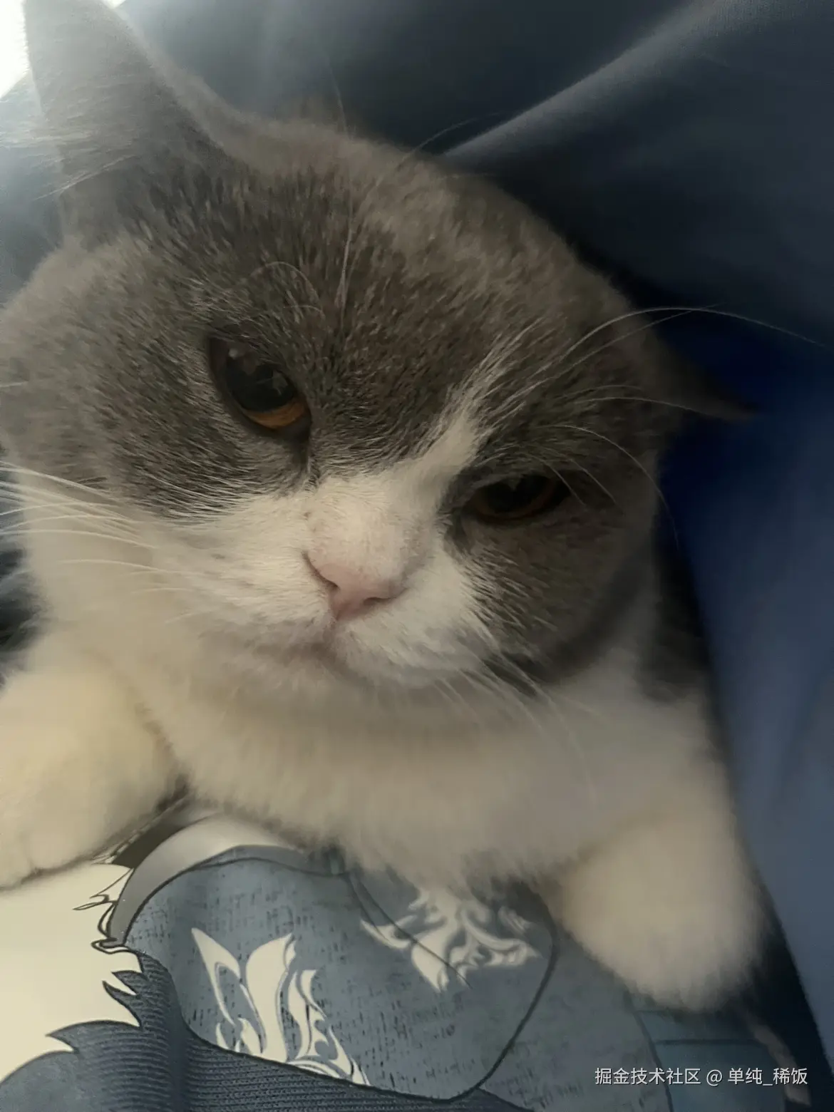 单纯_稀饭于2024-12-23 08:59发布的图片
