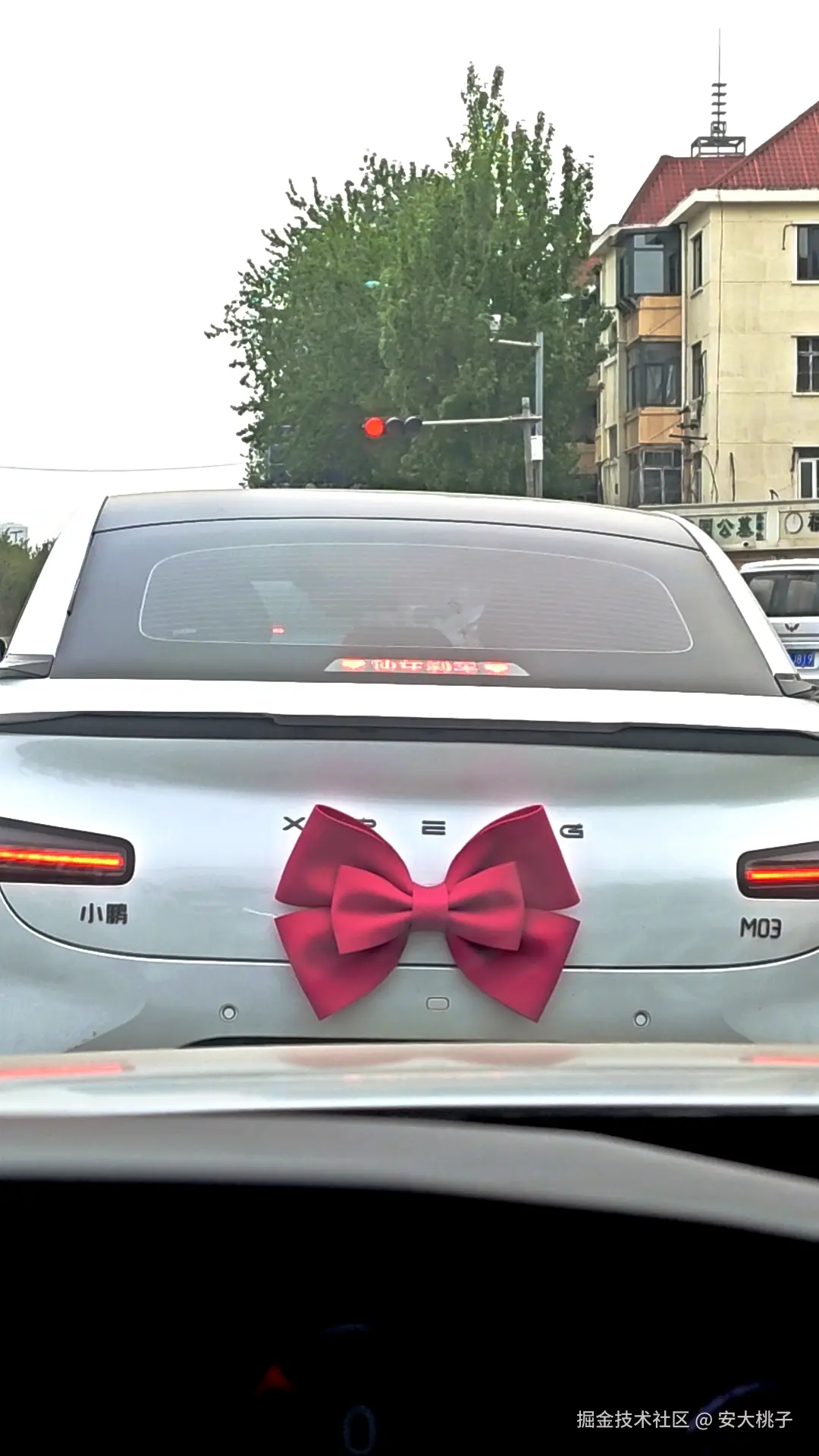 安大桃子于2026-04-15 09:33发布的图片