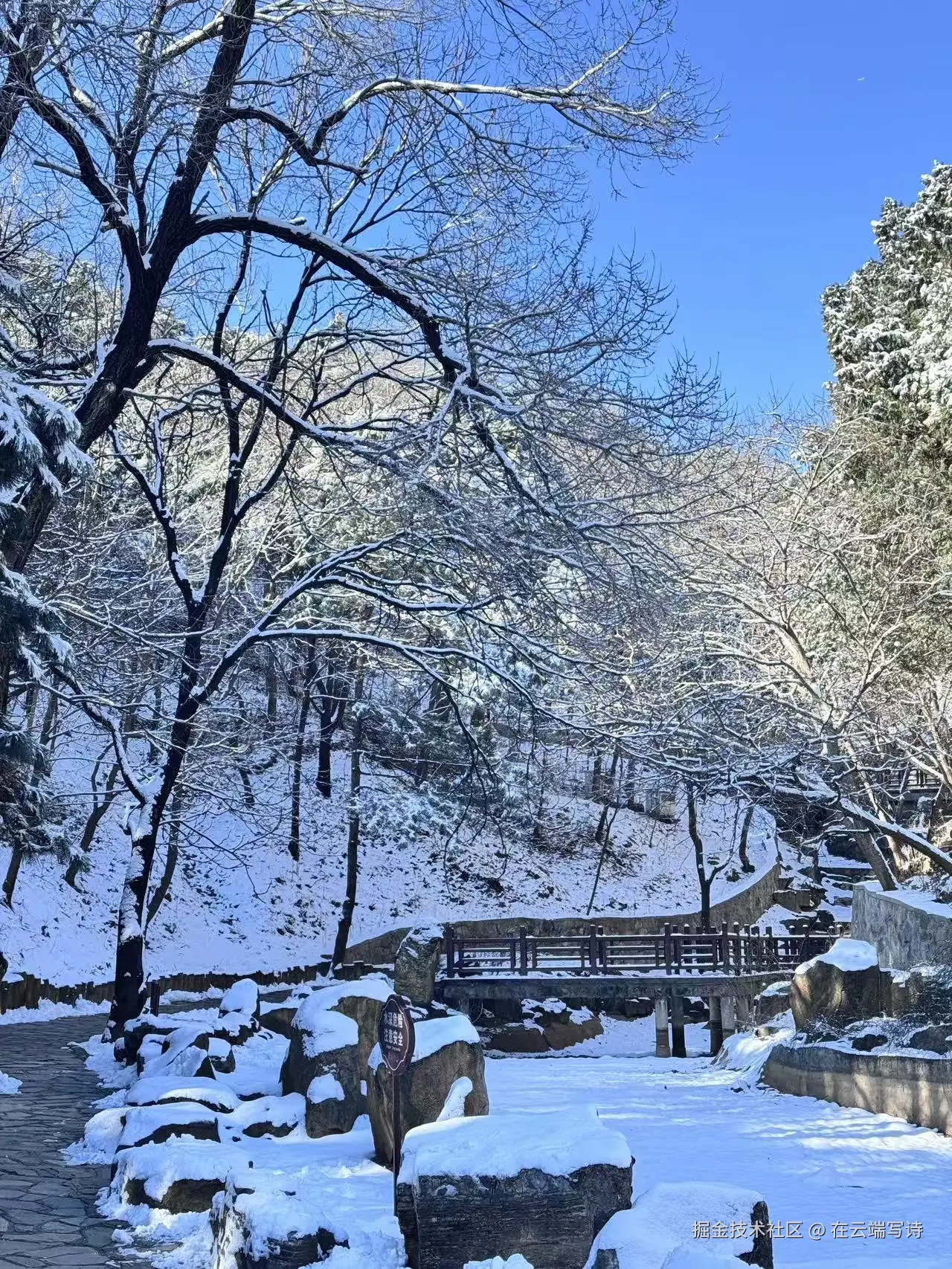 在云端写诗于2026-03-09 10:38发布的图片