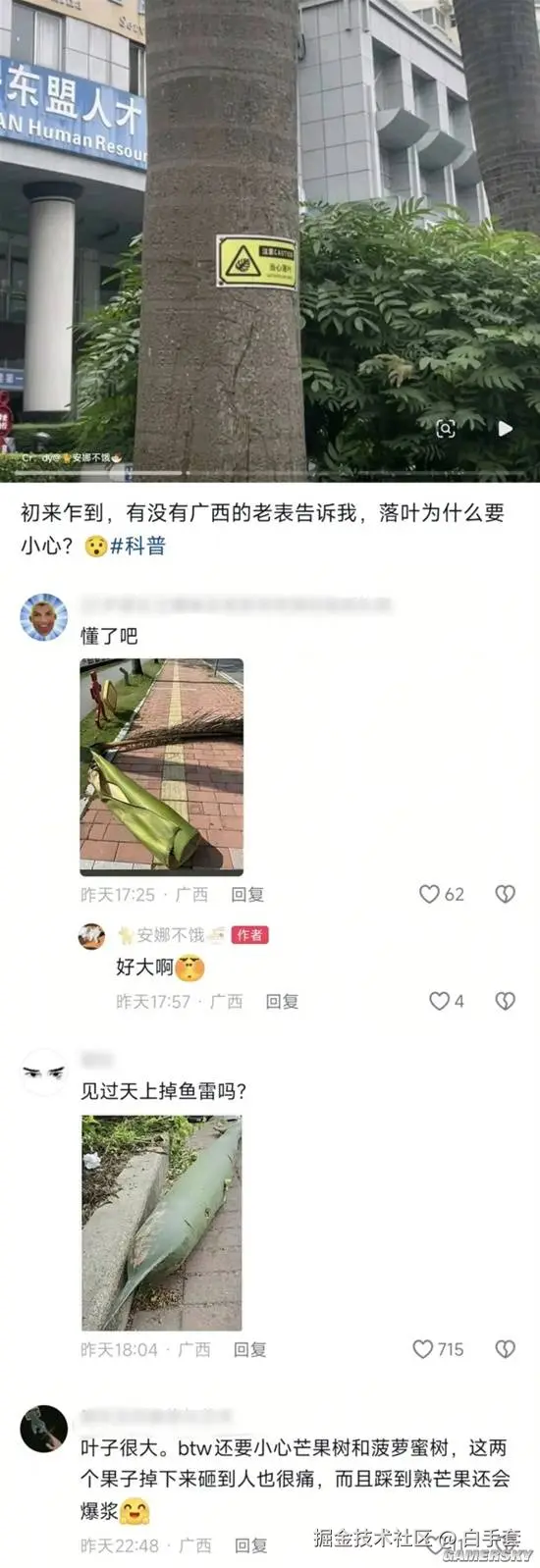 白手套于2026-04-04 17:57发布的图片