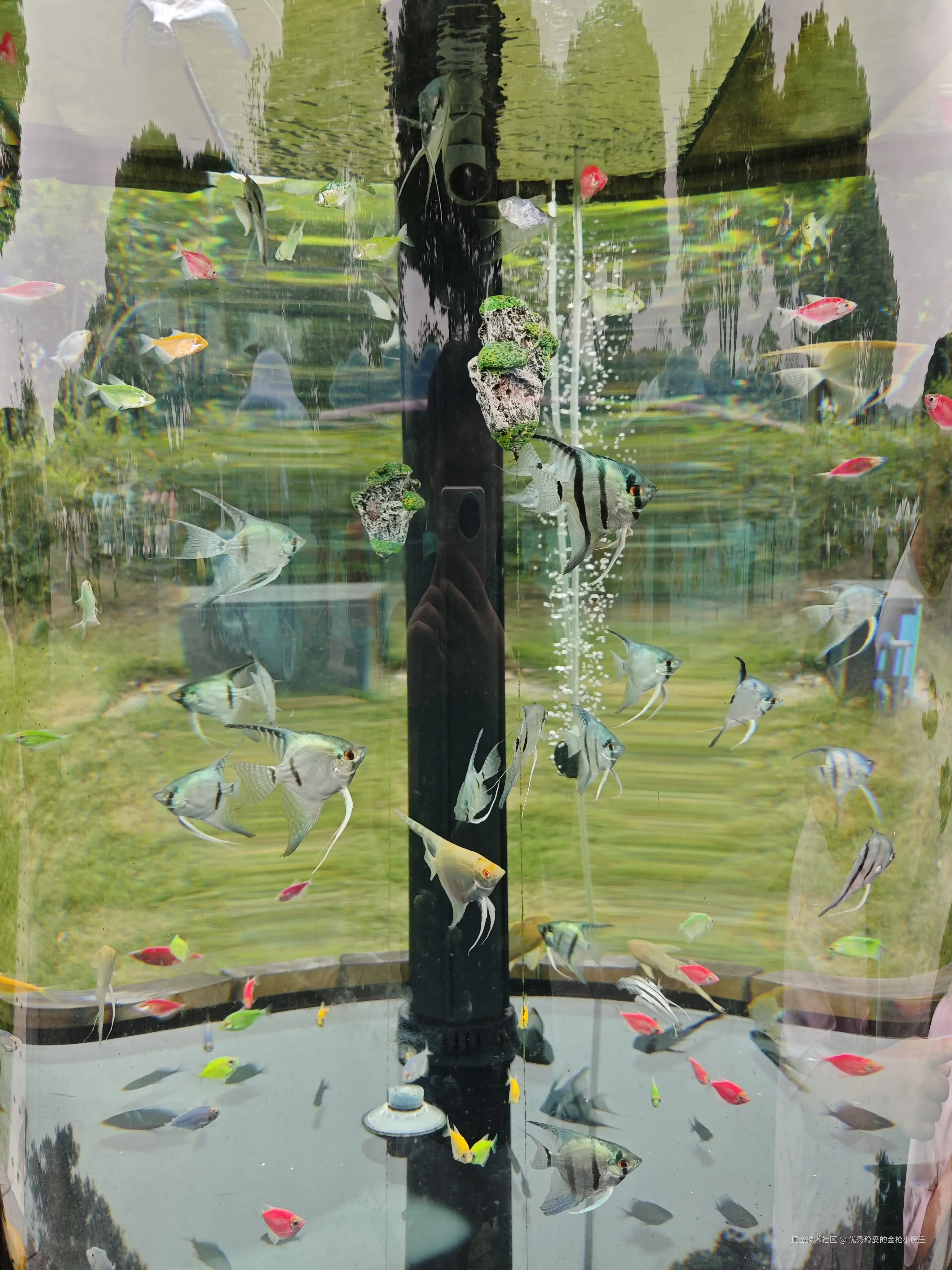 优秀稳妥的金枪小魔王于2025-09-23 09:57发布的图片