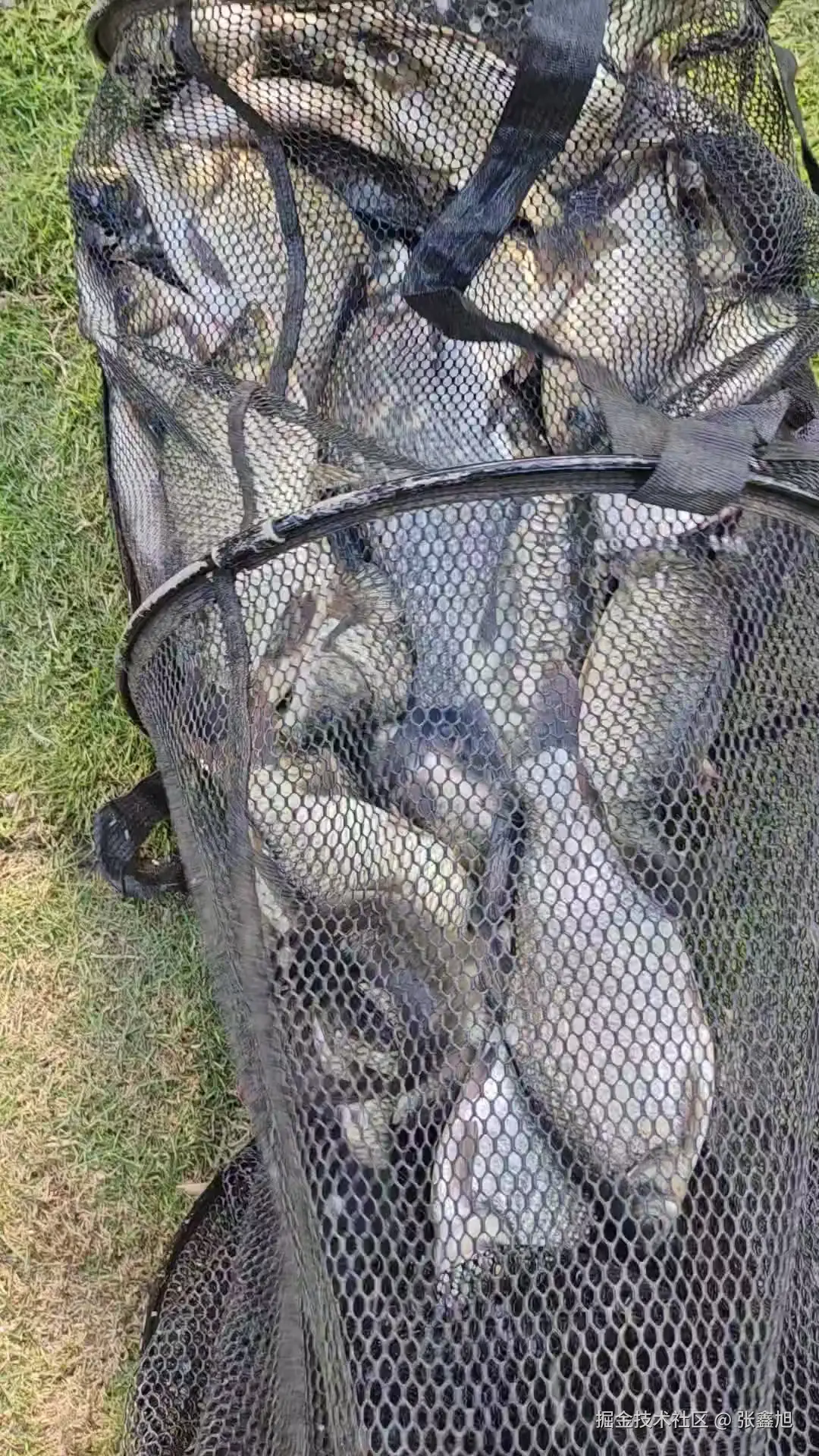 张鑫旭于2025-09-09 16:25发布的图片