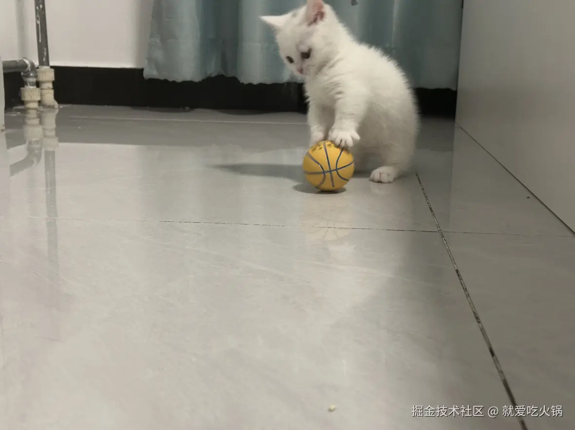 就爱吃火锅于2025-02-19 09:30发布的图片