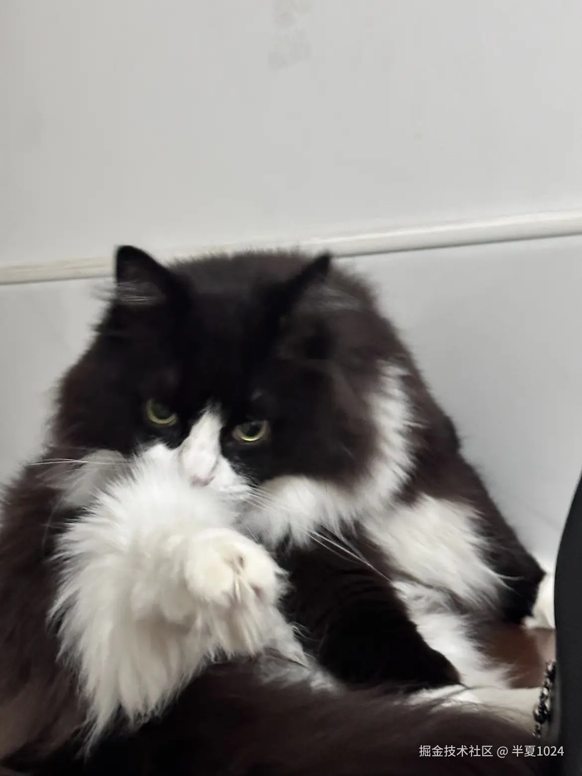 半夏1024于2024-11-25 09:28发布的图片