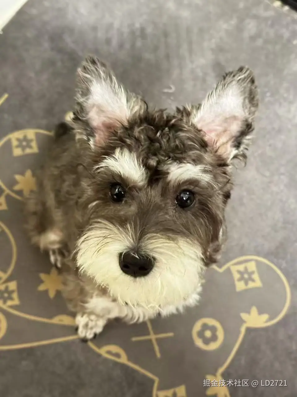 LD2721于2025-12-12 11:31发布的图片