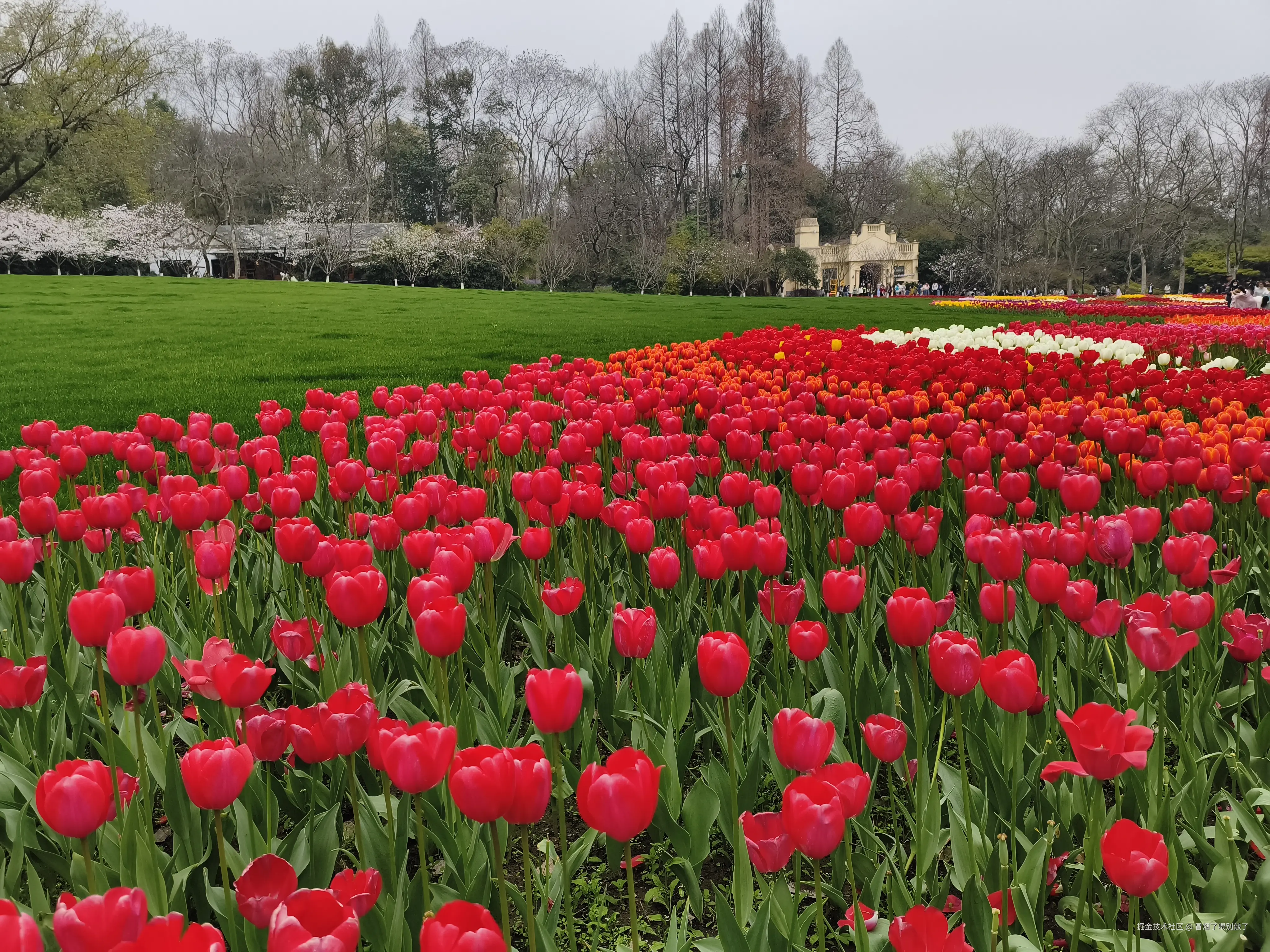 冒烟了喂别敲了于2026-03-23 12:05发布的图片