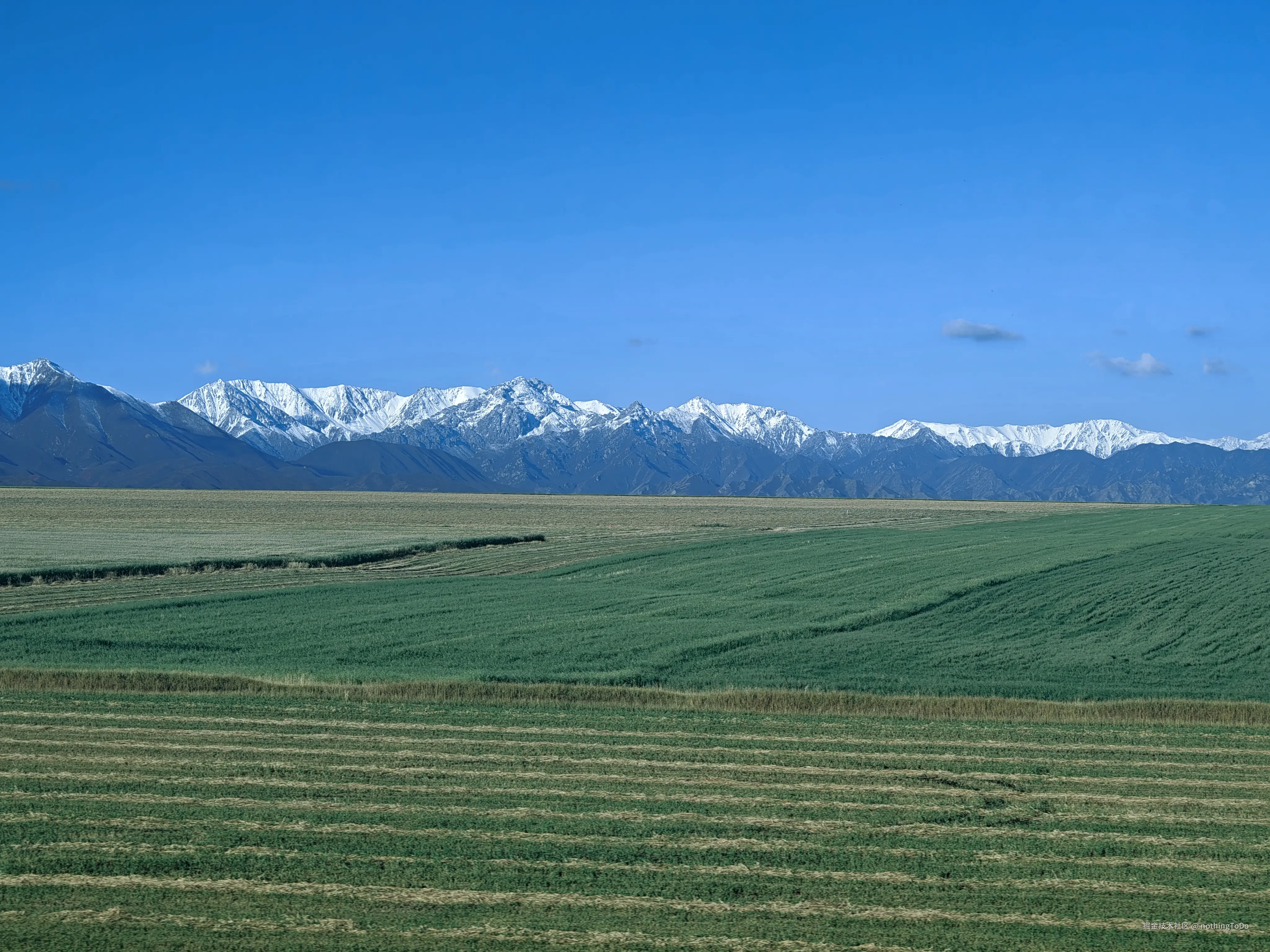 nothingToDo于2025-04-10 14:59发布的图片