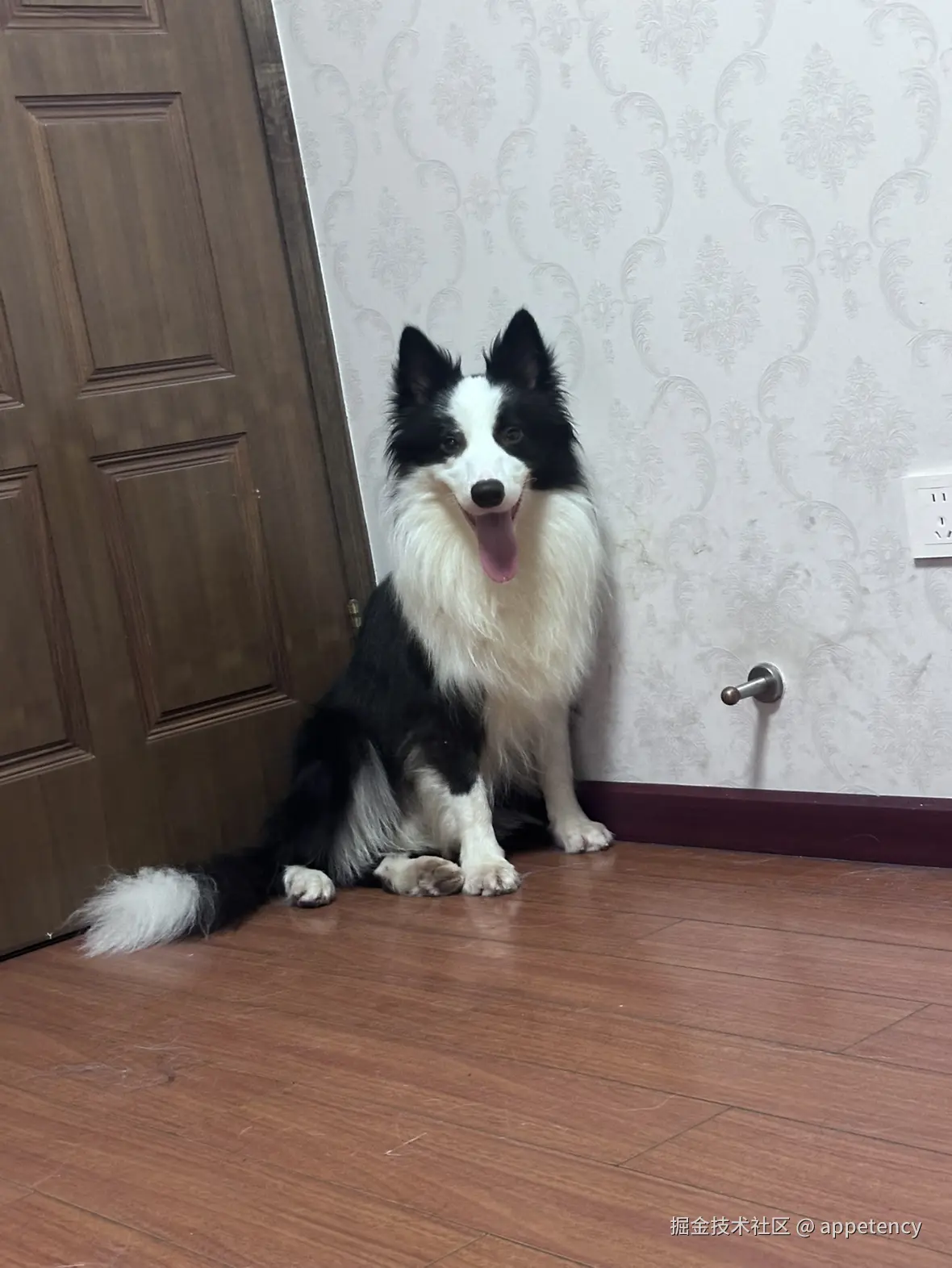 appetency于2024-12-31 16:23发布的图片