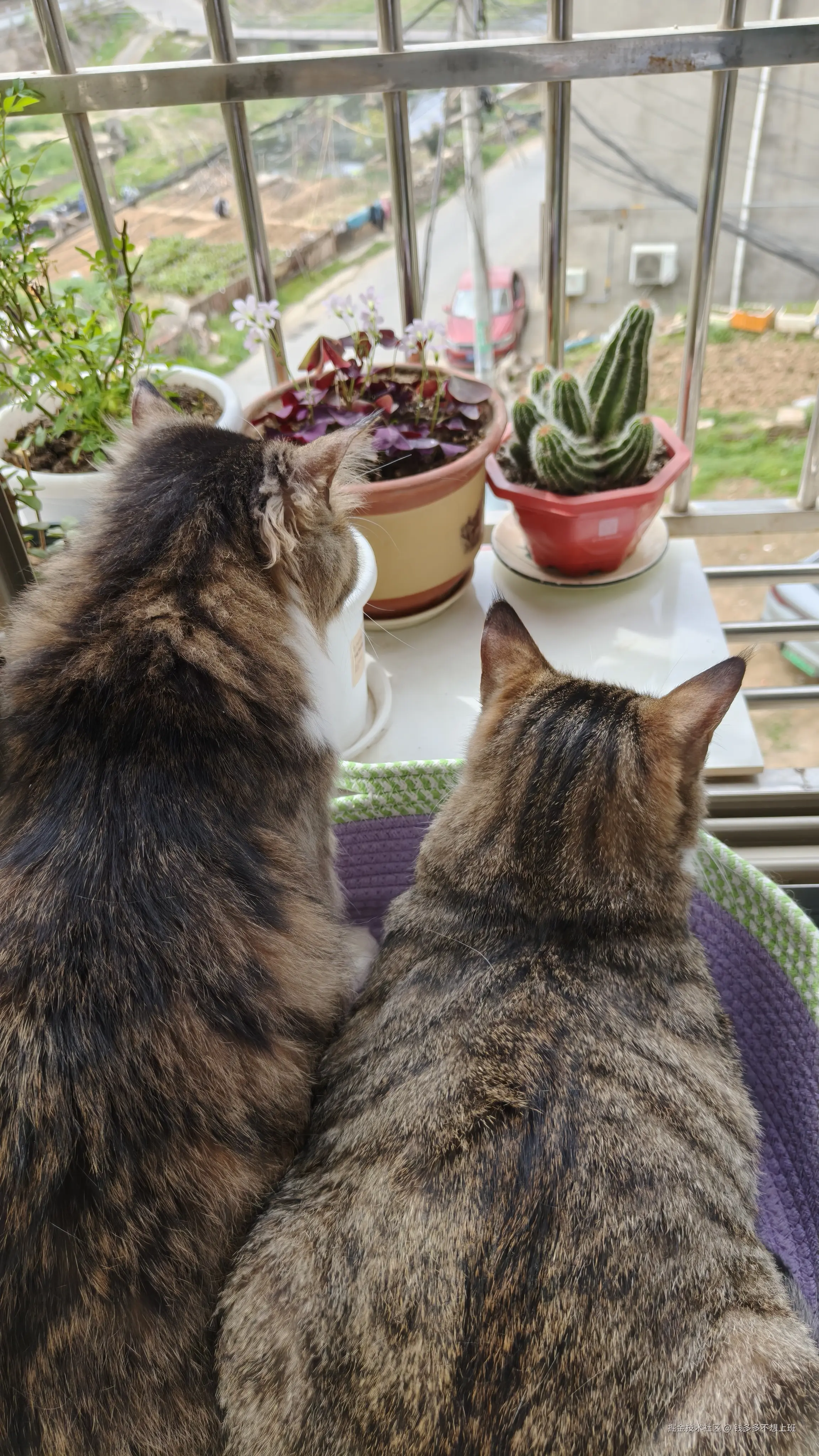 钱多多不想上班于2026-04-07 10:47发布的图片