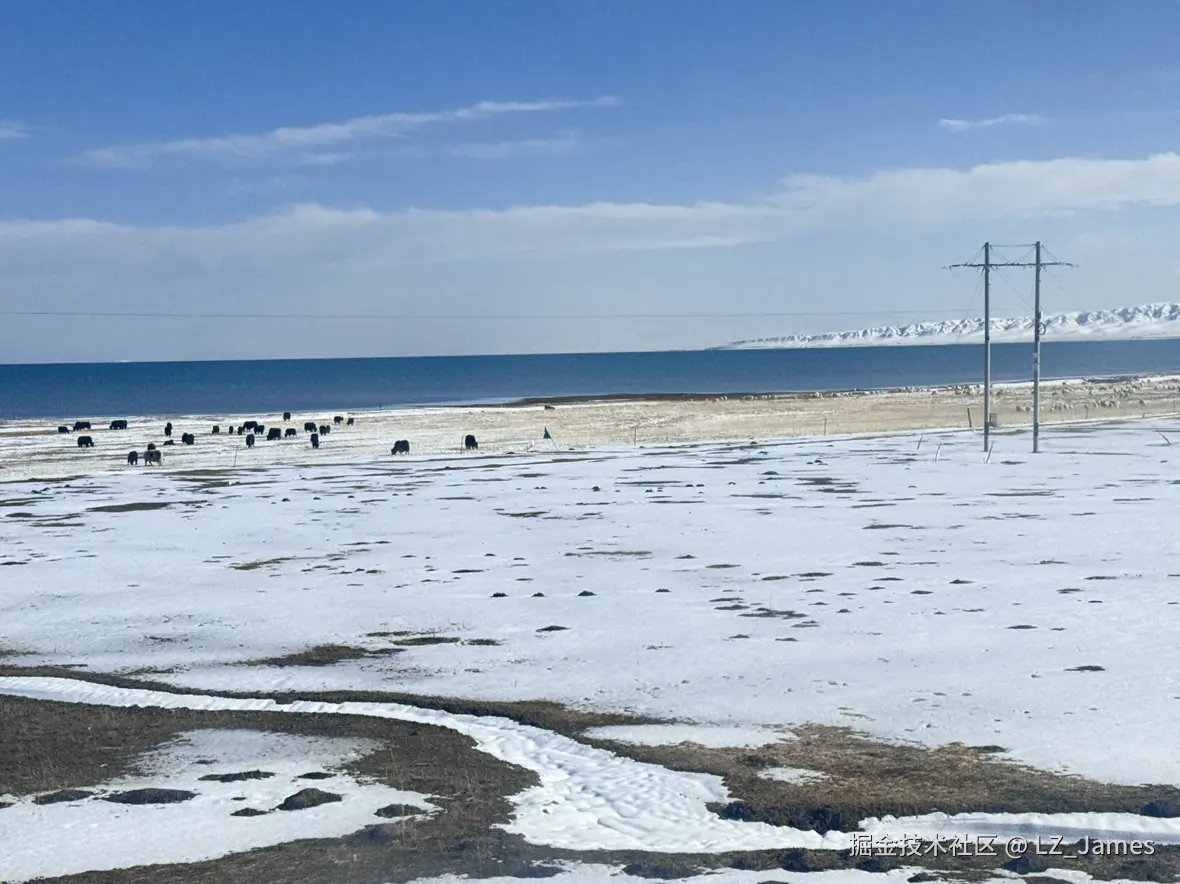 LZ_James于2025-04-27 17:29发布的图片