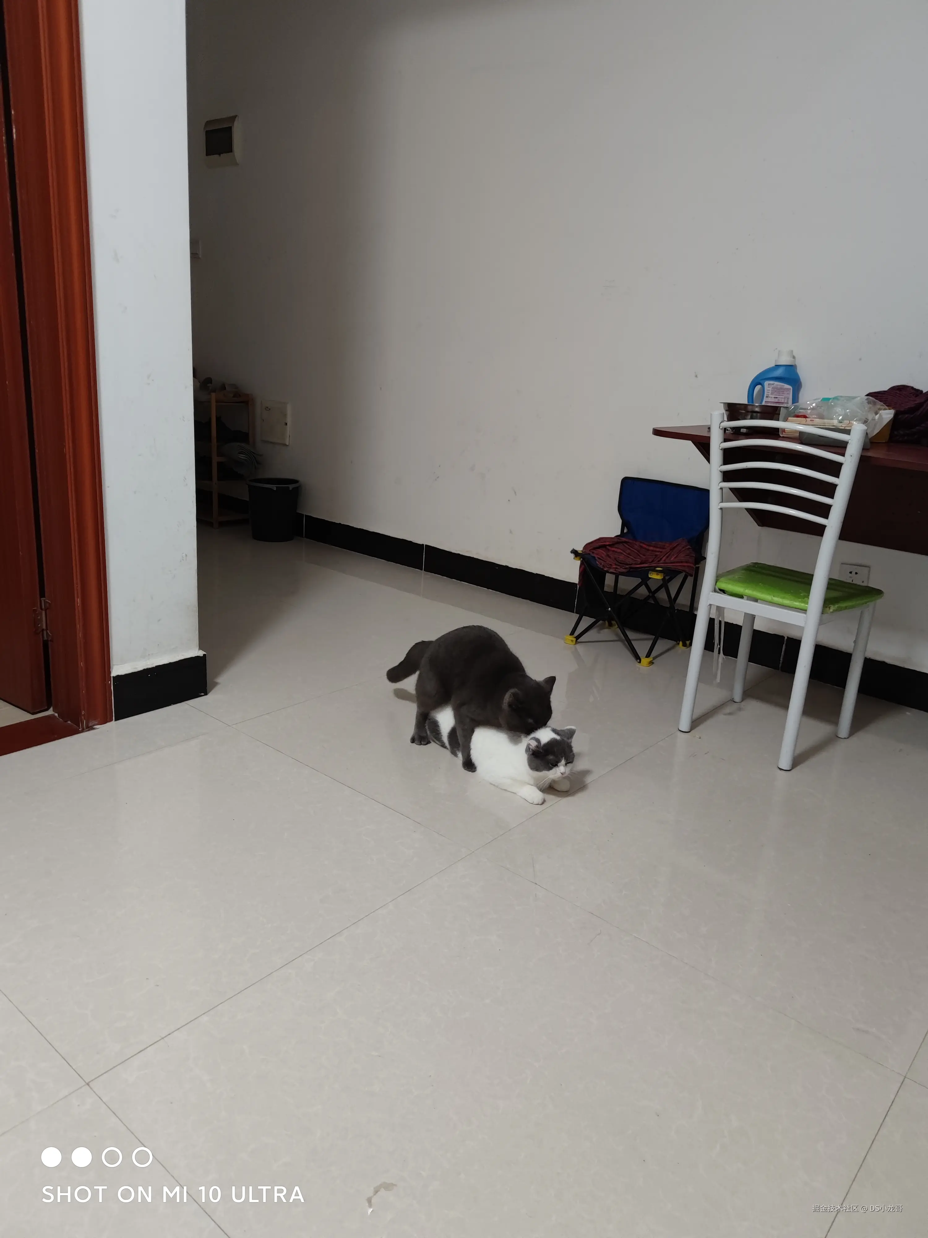 DS小龙哥于2025-07-14 15:26发布的图片