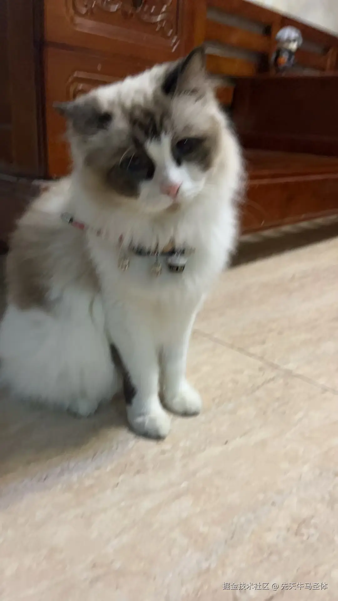 先天牛马圣体于2024-10-29 12:34发布的图片