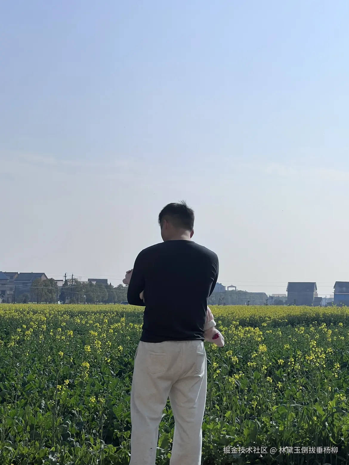 林黛玉倒拔垂杨柳于2026-03-28 13:52发布的图片