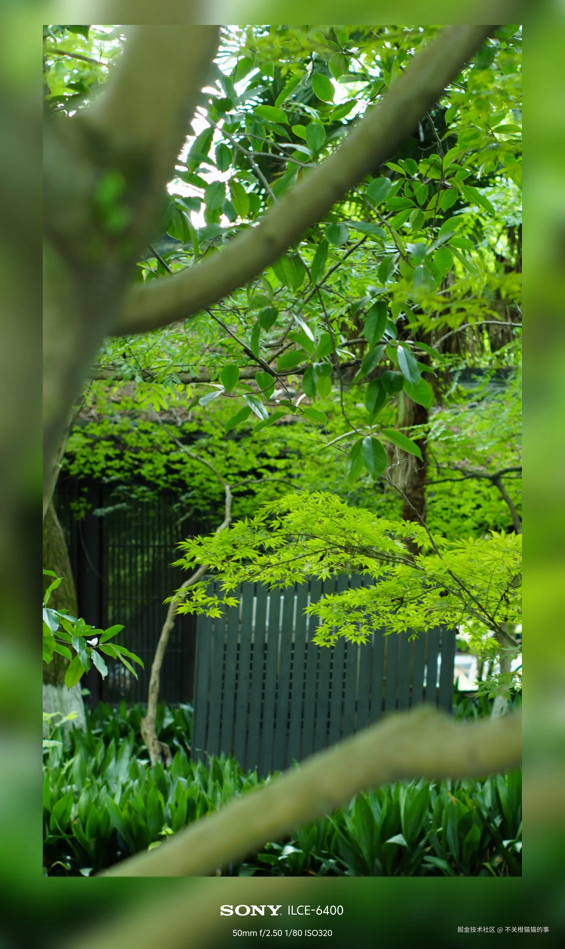 不关橙猫猫的事于2024-10-08 14:03发布的图片