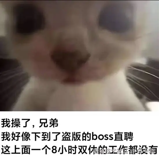 白手套于2026-01-27 15:44发布的图片