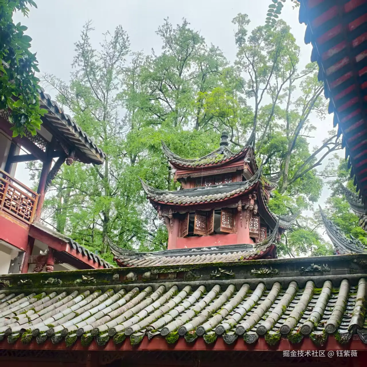 钰紫薇于2025-07-28 09:17发布的图片