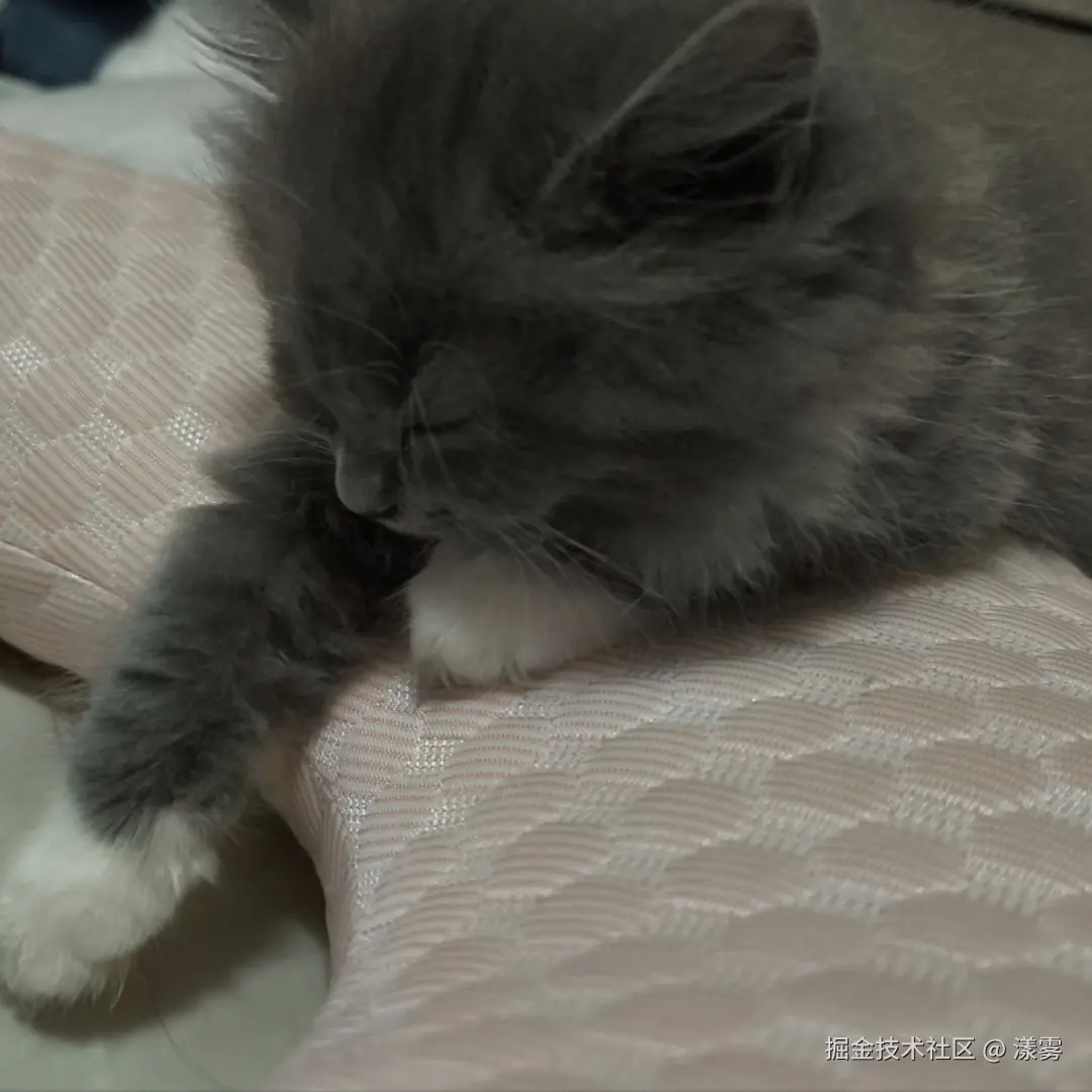 漾雾于2024-08-12 14:08发布的图片