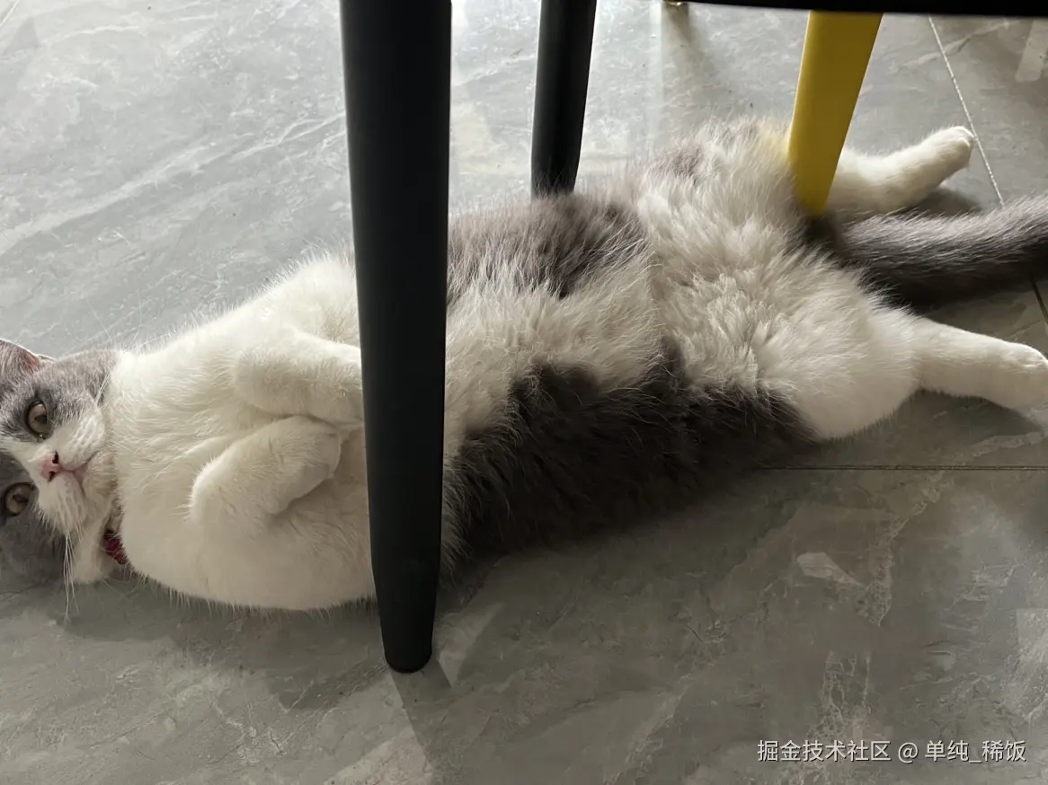 单纯_稀饭于2024-08-30 06:36发布的图片