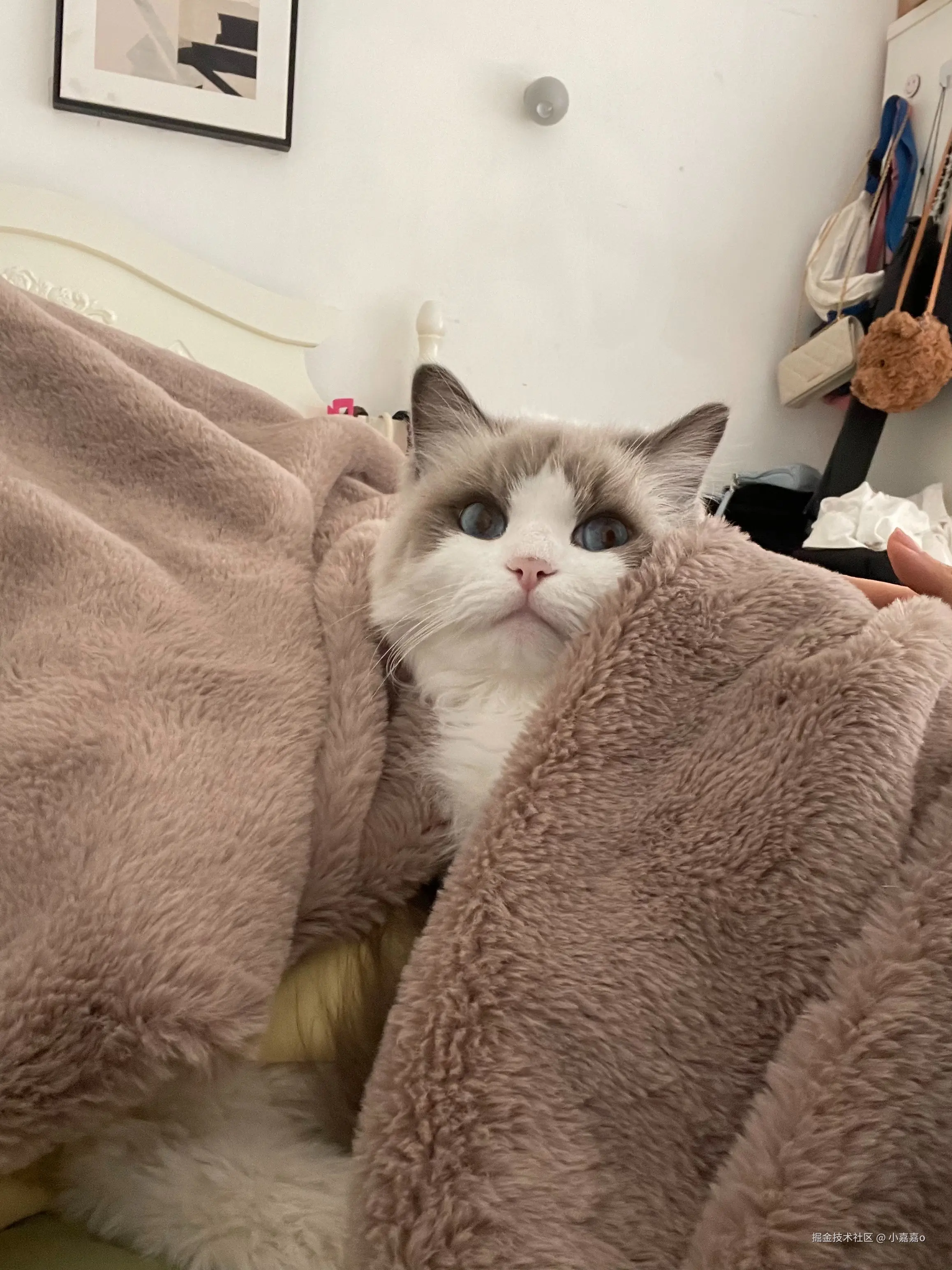 小嘉嘉o于2025-11-18 16:40发布的图片