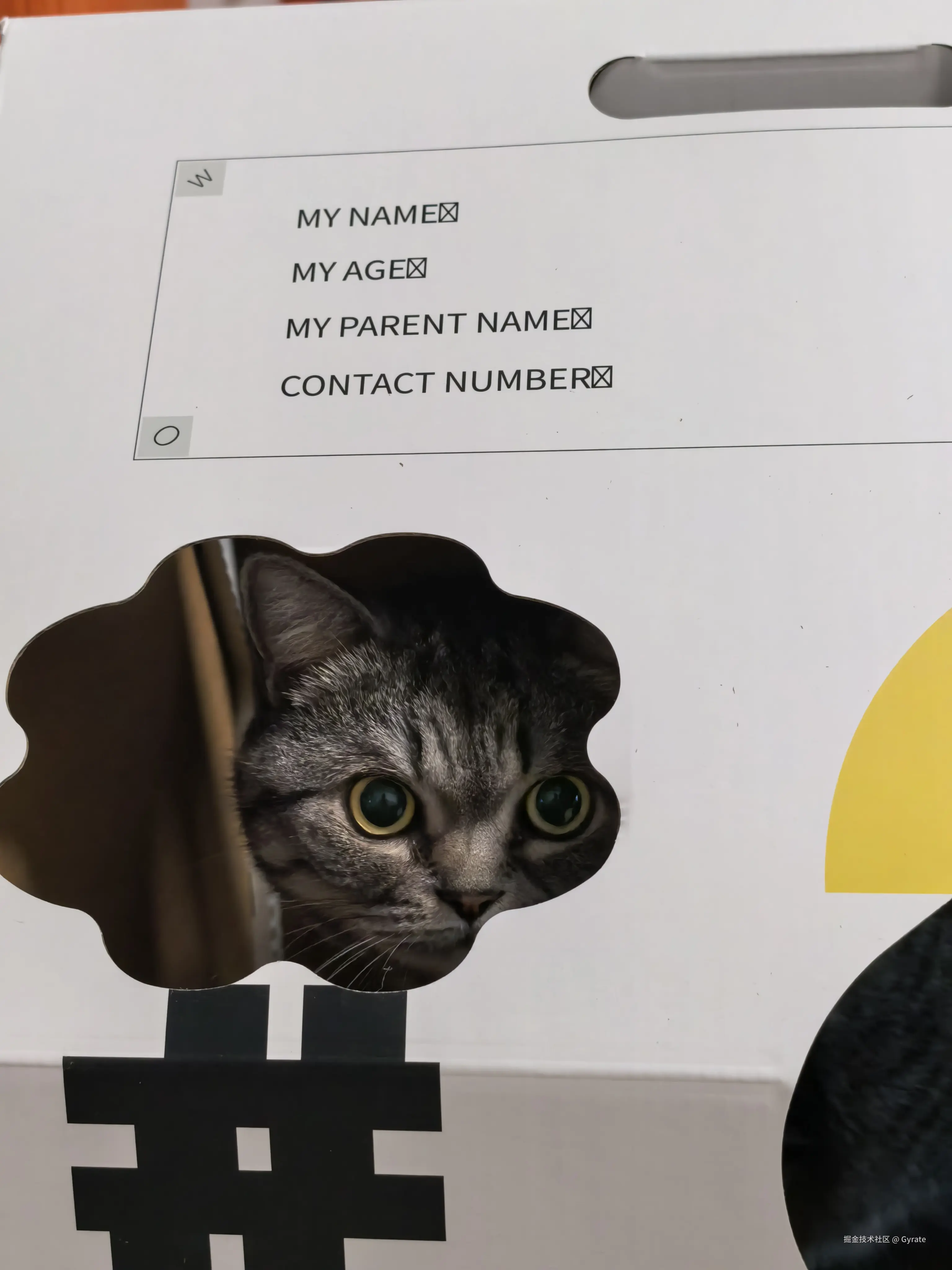 Gyrate于2026-03-11 22:23发布的图片