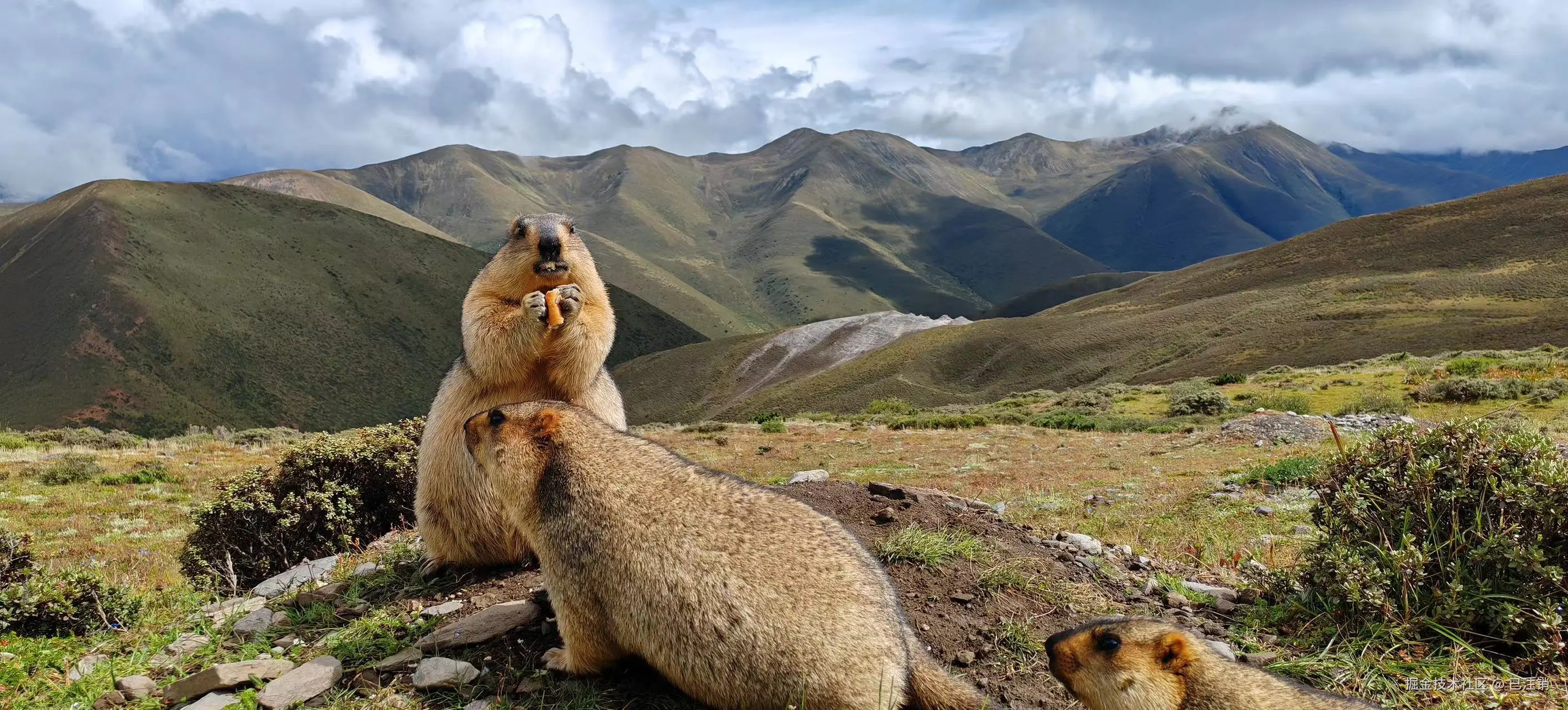 已注销于2024-09-18 08:39发布的图片