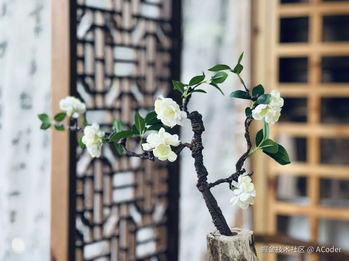 ACoder于2024-07-31 12:32发布的图片