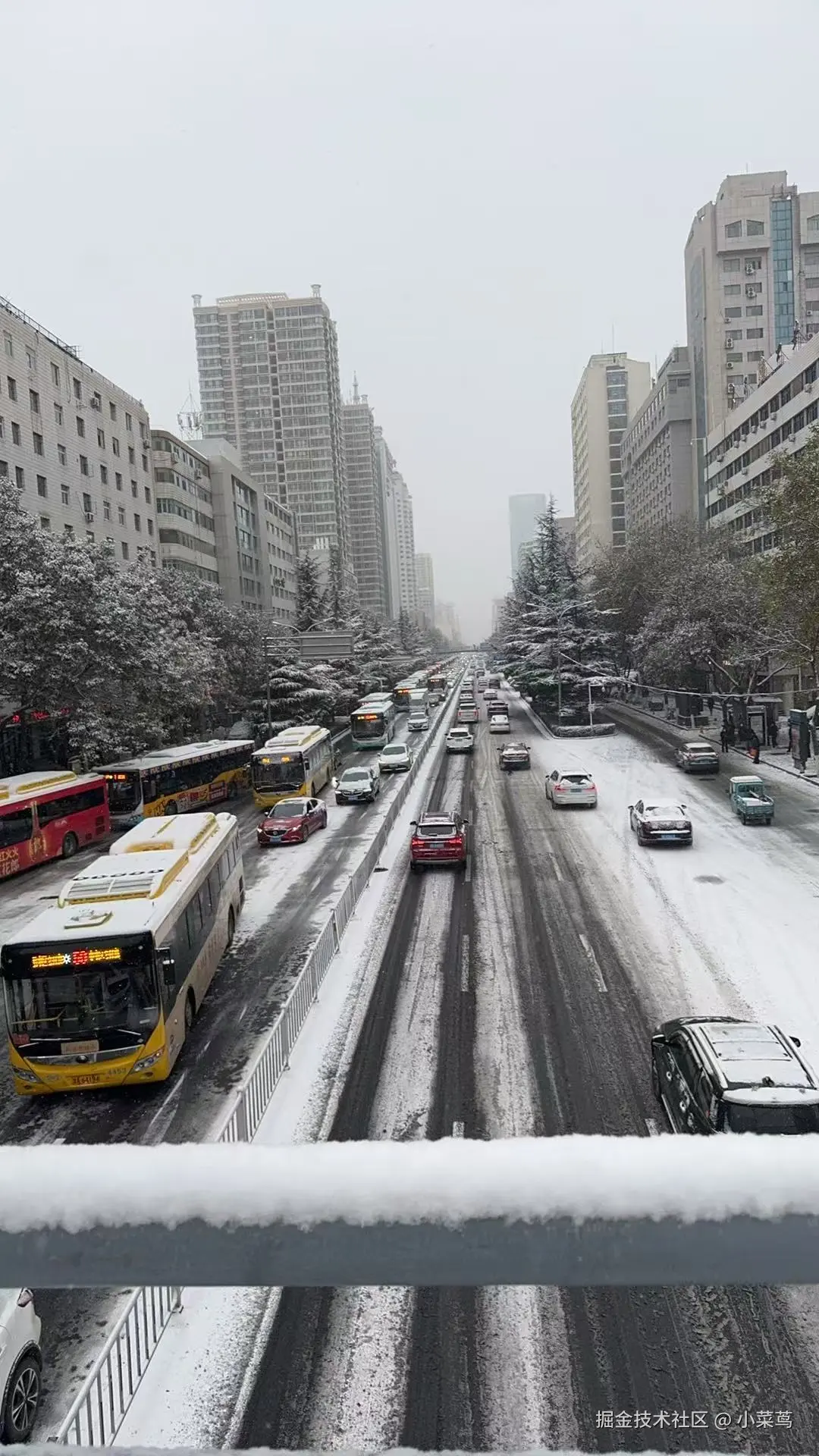 小菜茑于2024-11-25 10:22发布的图片