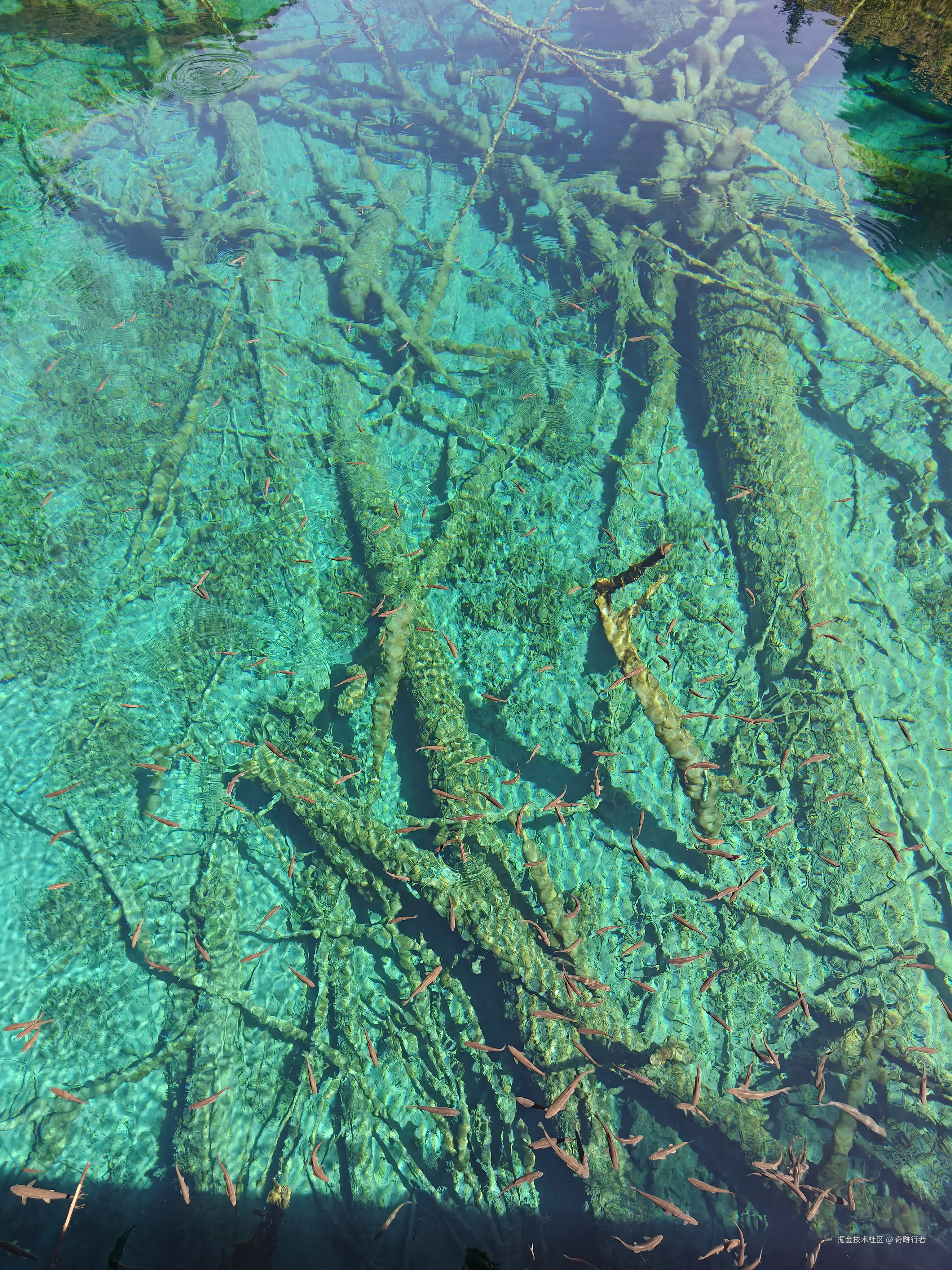 奇跡行者于2025-08-18 14:48发布的图片