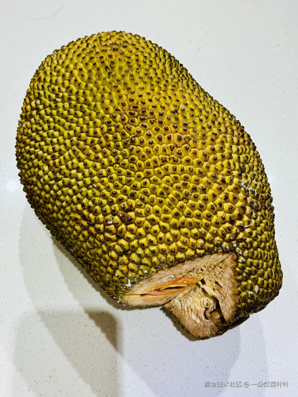 一朵烂菜叶叶于2025-12-01 11:33发布的图片