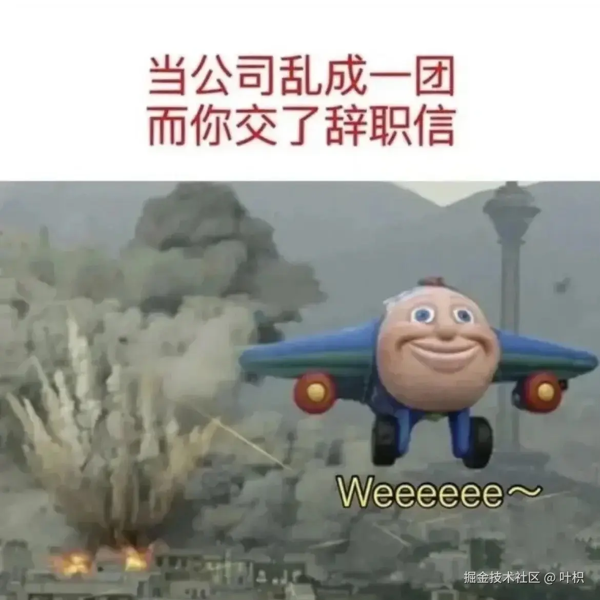 叶枳于2025-09-22 10:25发布的图片