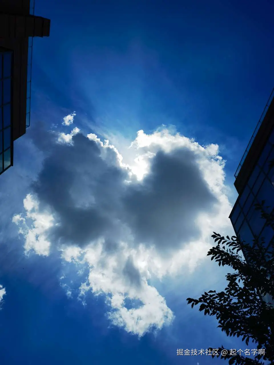 起个名字啊于2024-08-21 15:56发布的图片