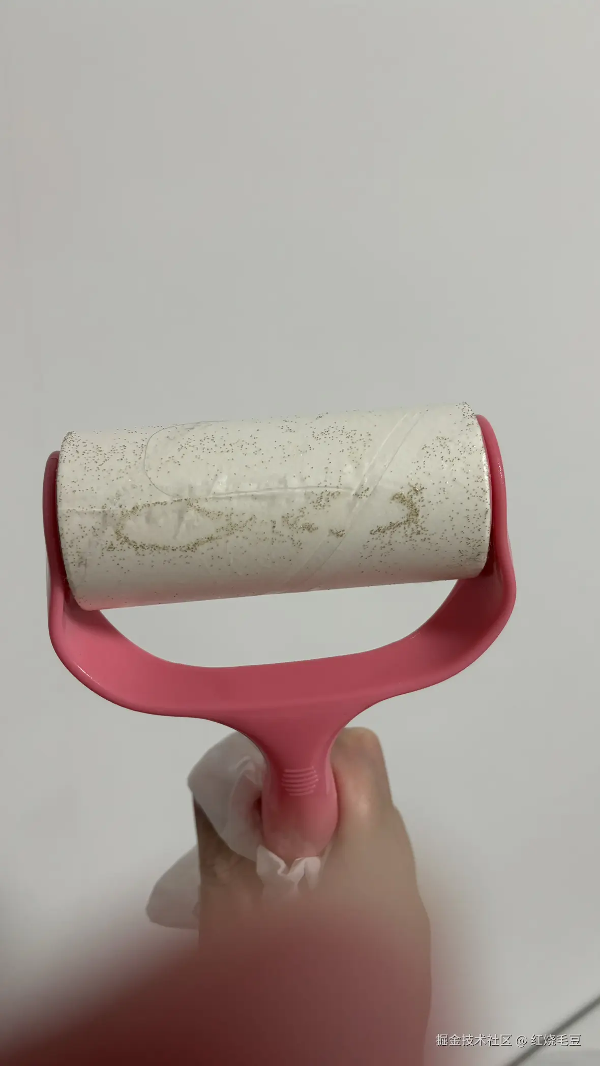 红烧毛豆于2025-07-20 00:12发布的图片