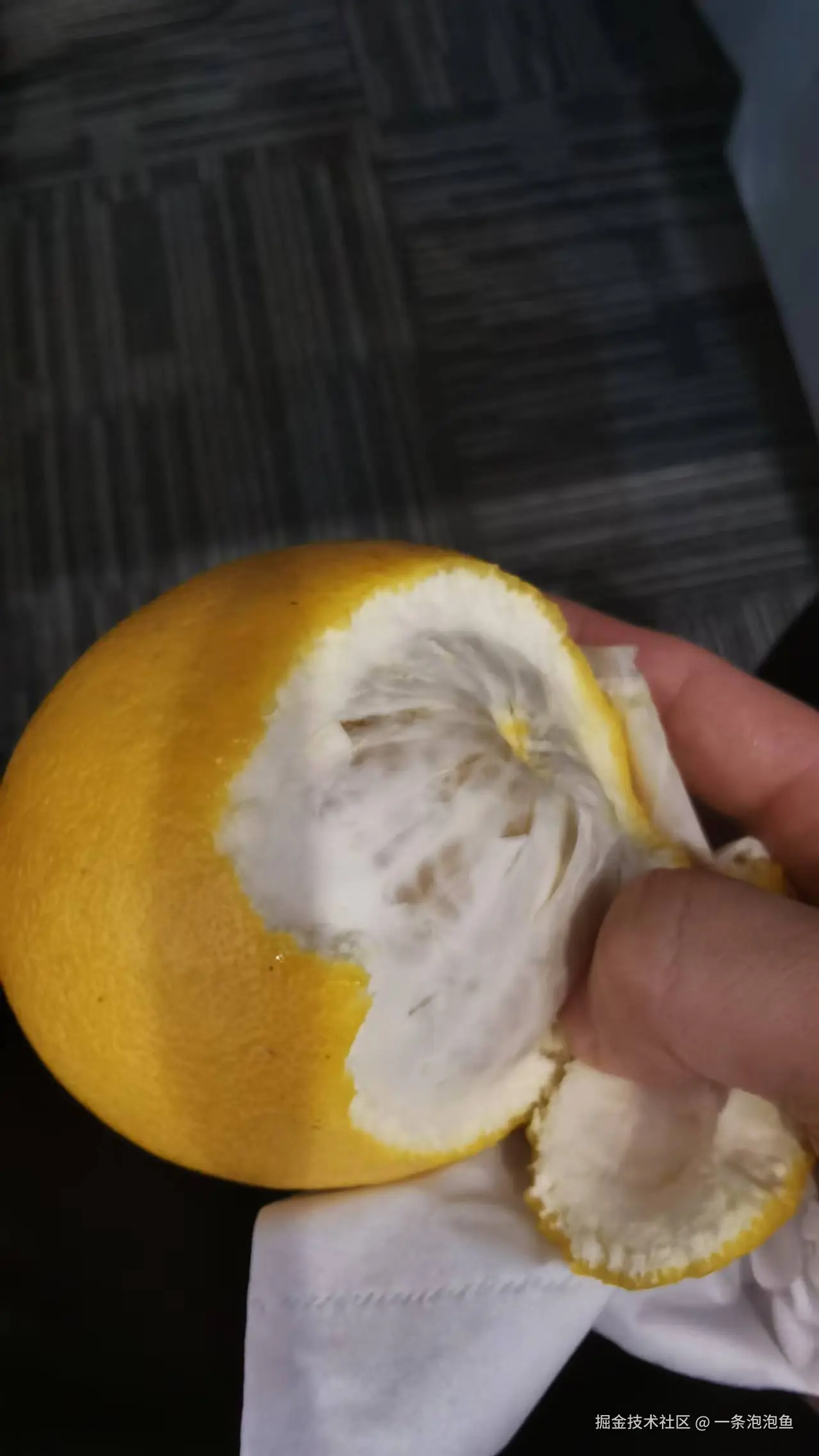 一条泡泡鱼于2024-11-20 14:54发布的图片