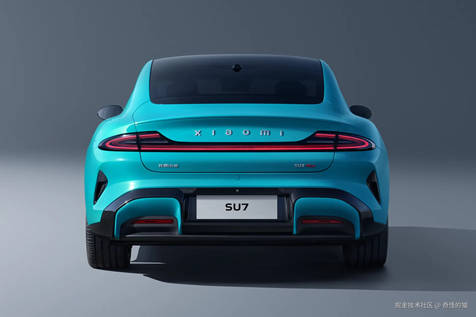 奇怪的猫于2025-03-08 13:20发布的图片