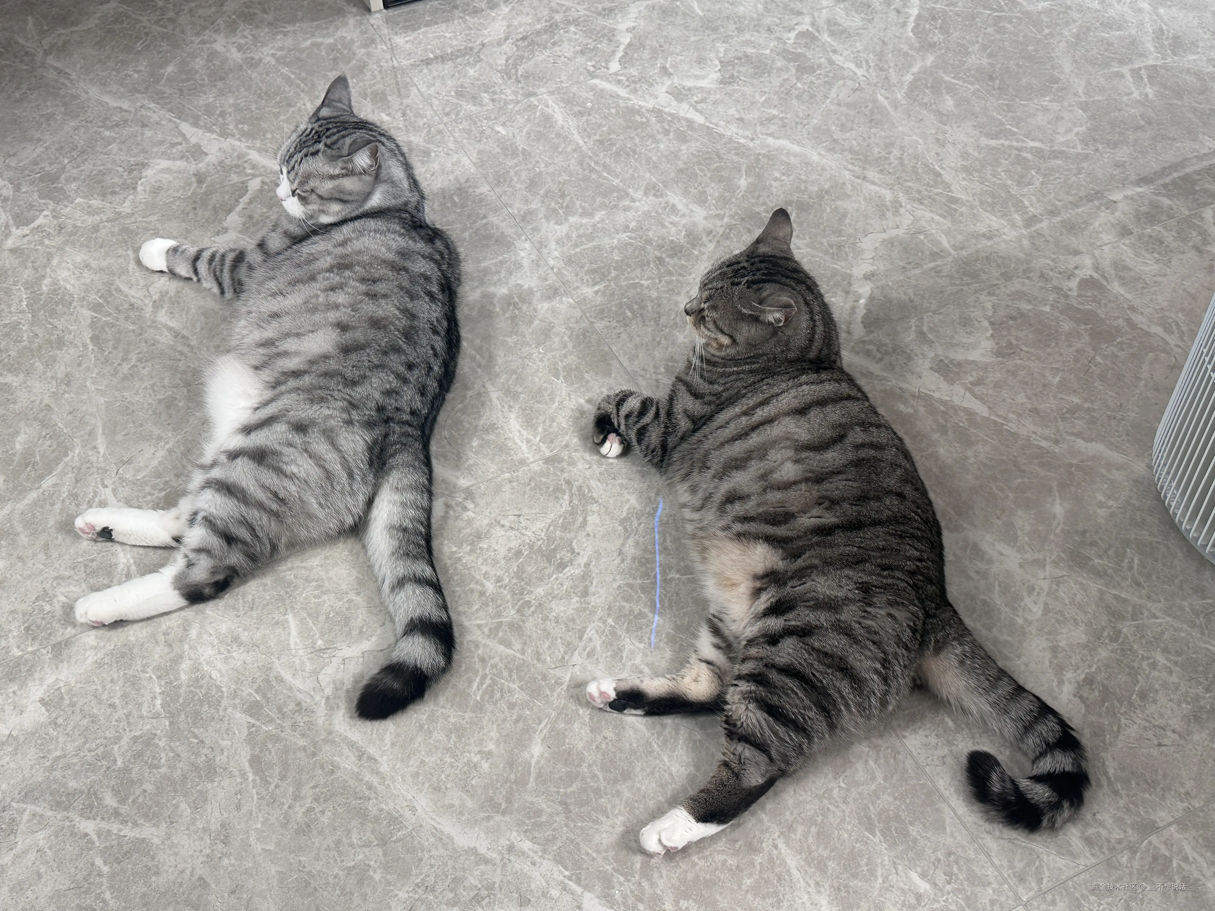 __不想说话__于2026-02-27 19:05发布的图片