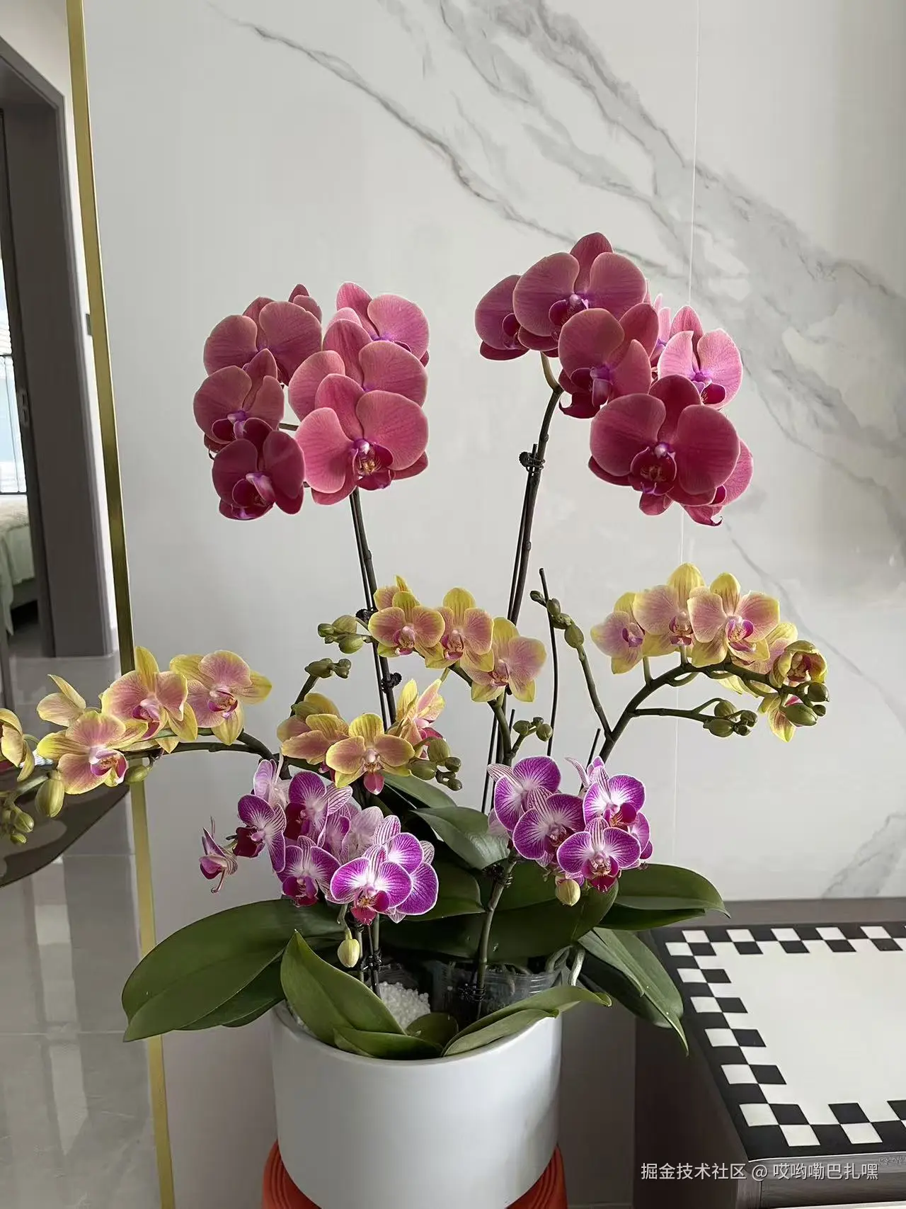 哎哟嘞巴扎嘿于2026-02-15 16:45发布的图片