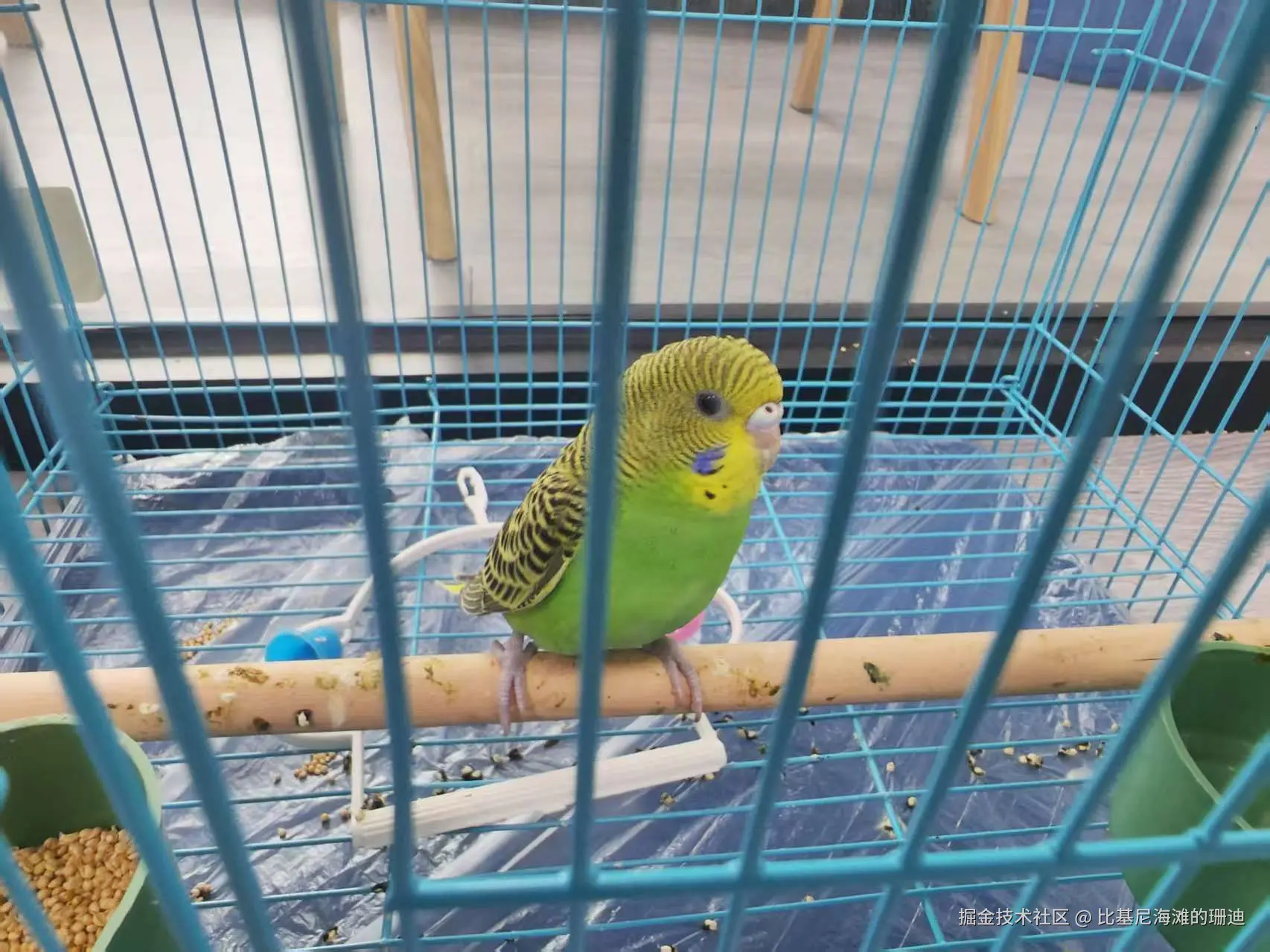 比基尼海滩的珊迪于2025-08-11 12:27发布的图片